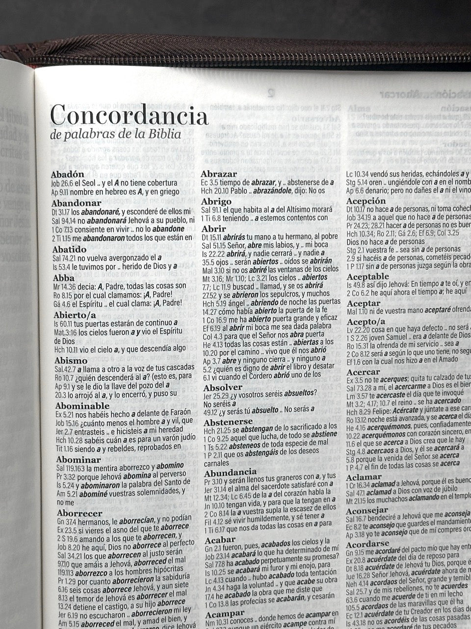Biblia RVR60 Letra Súper Gigante 19 puntos