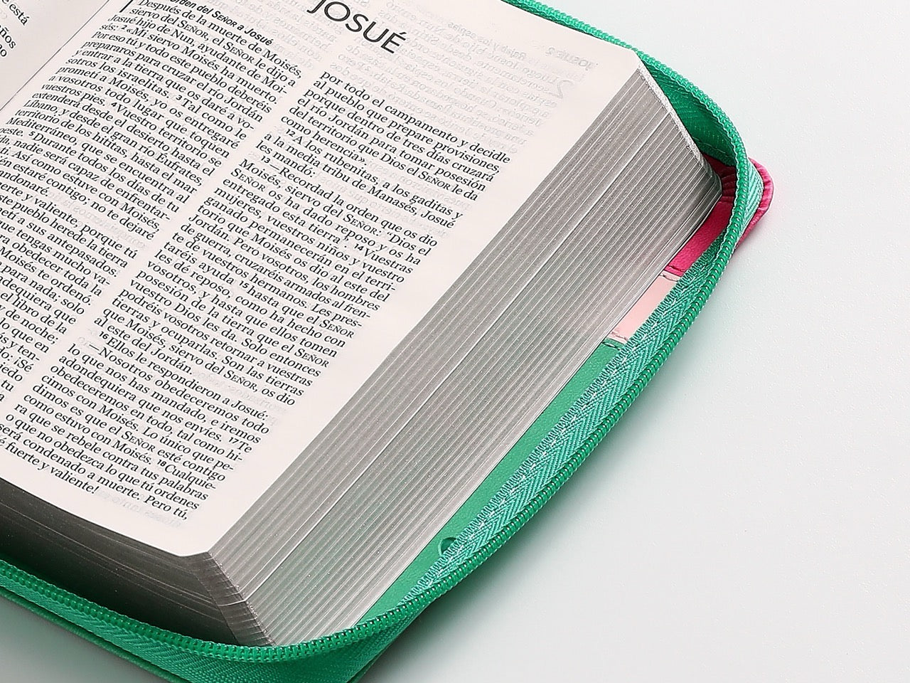Biblia NVI bolsillo