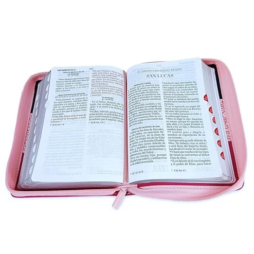 Biblia RVR 1960 Letra Grande Tamaño Manual