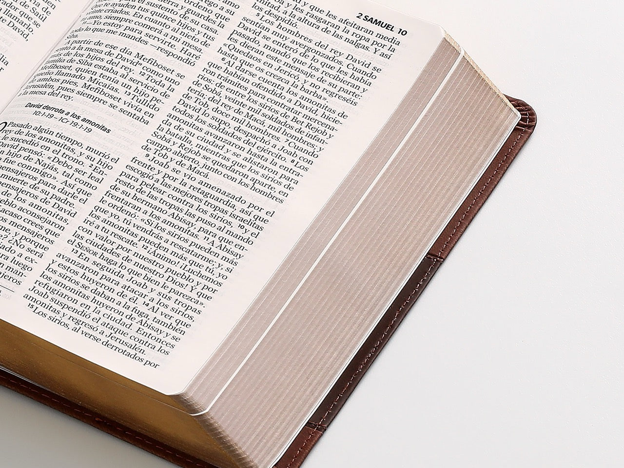 Libreria Cristiana Arca