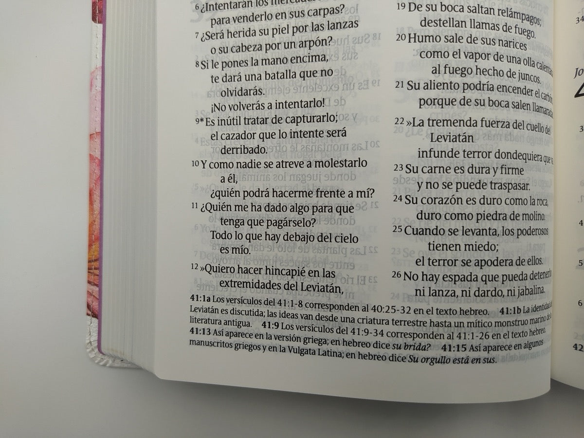 Biblia NTV Tamaño Personal Letra Grande Rosa