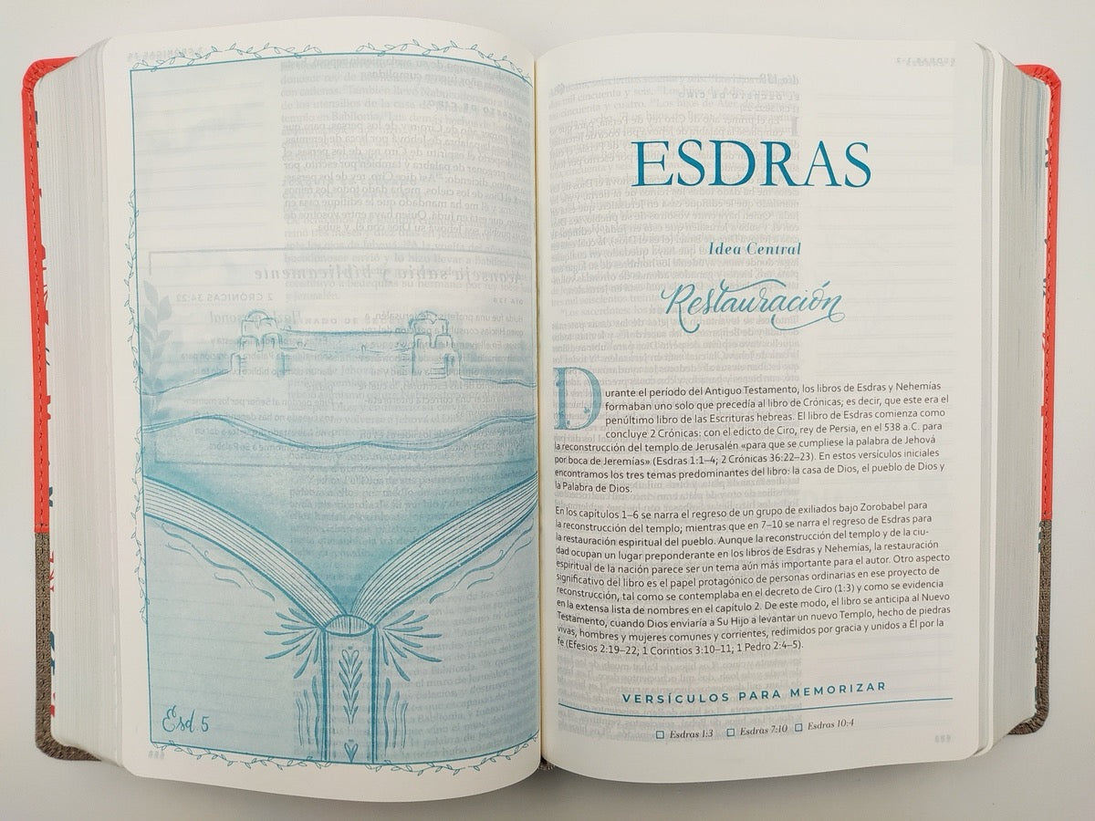 Biblia RVR 1960 Devocional Mujer Verdadera