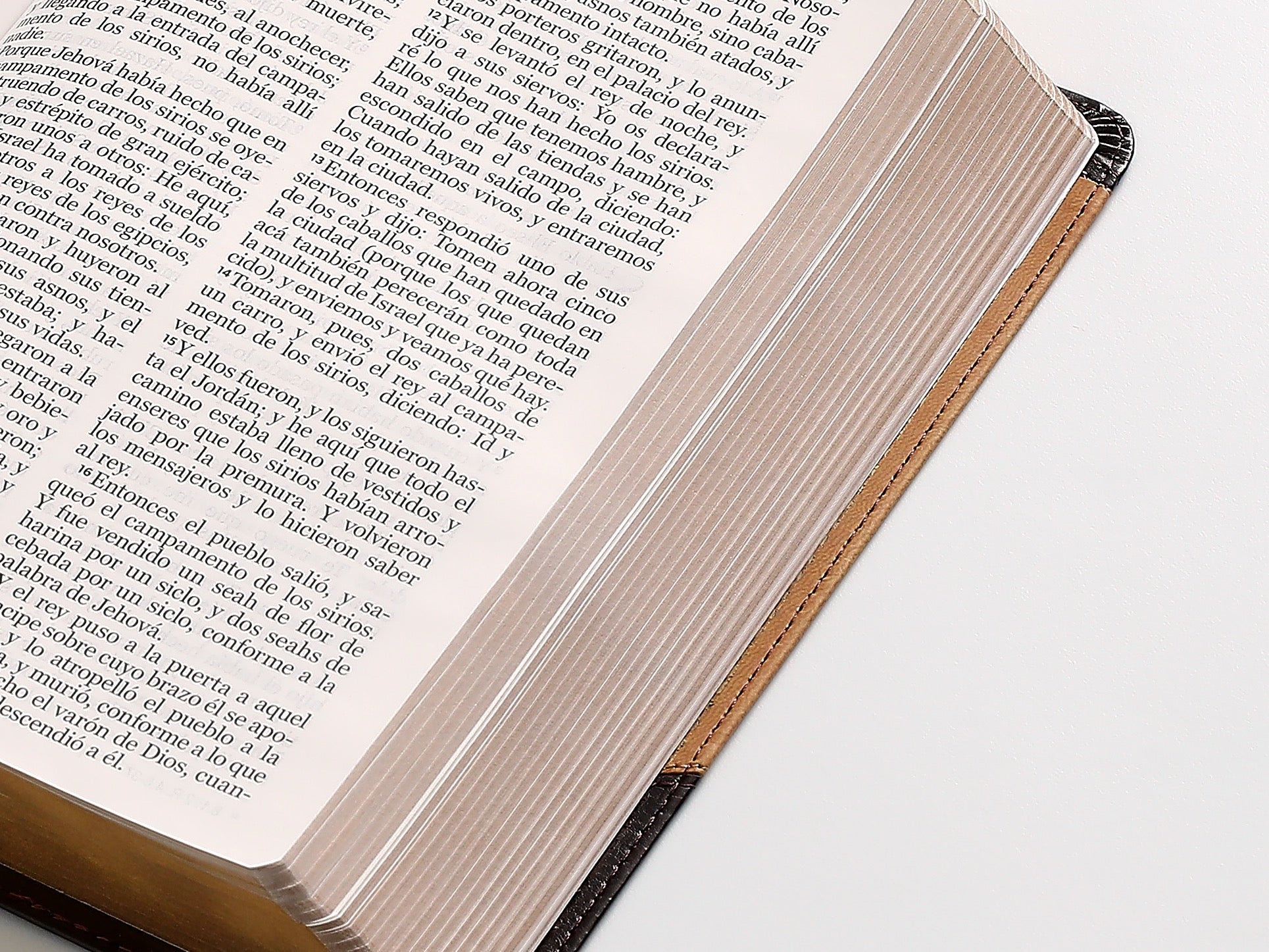 Biblia RVR60 Tamaño Manual Letra Grande