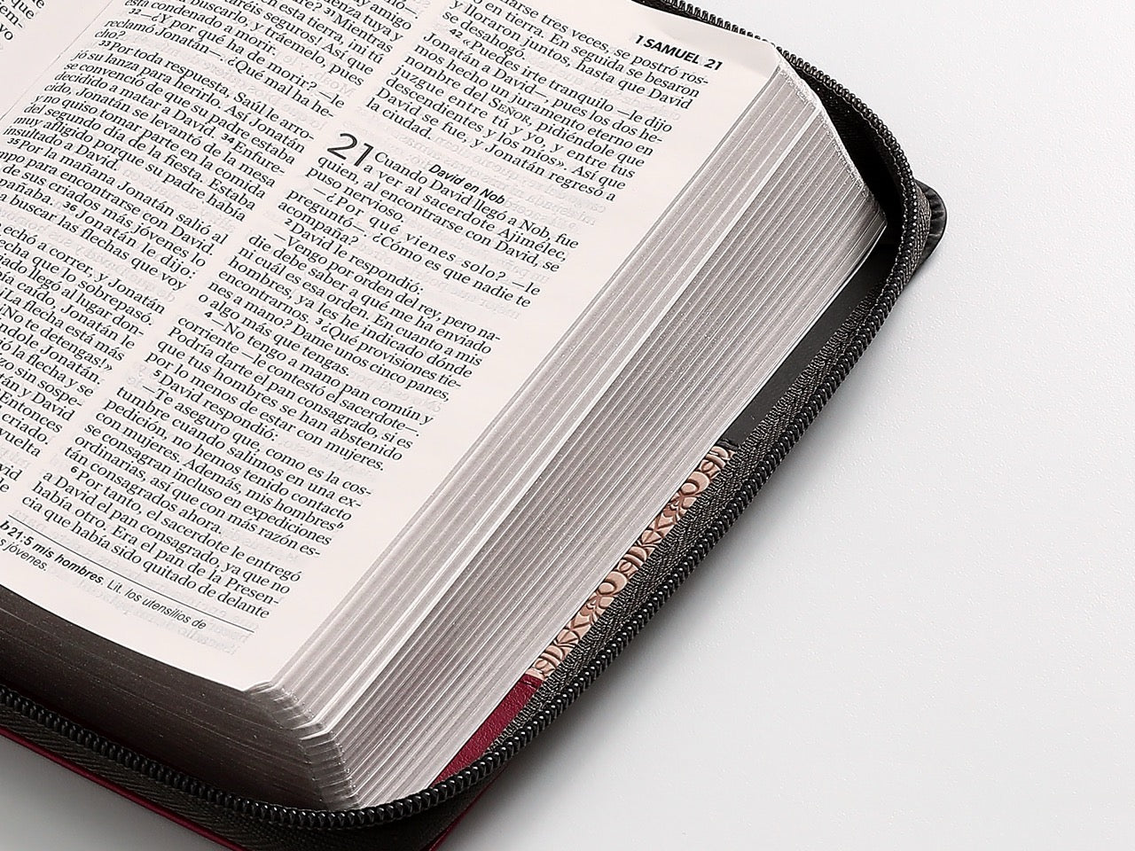 Libreria Cristiana Arca