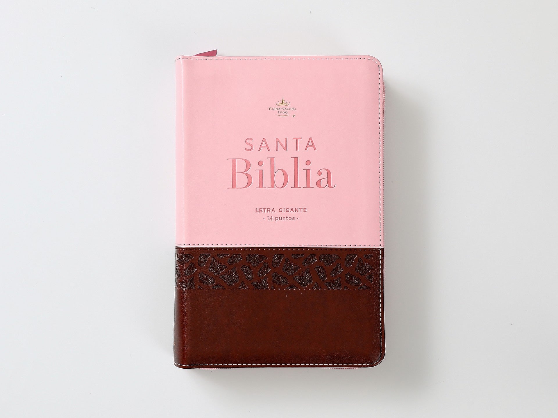 Libreria Cristiana Arca