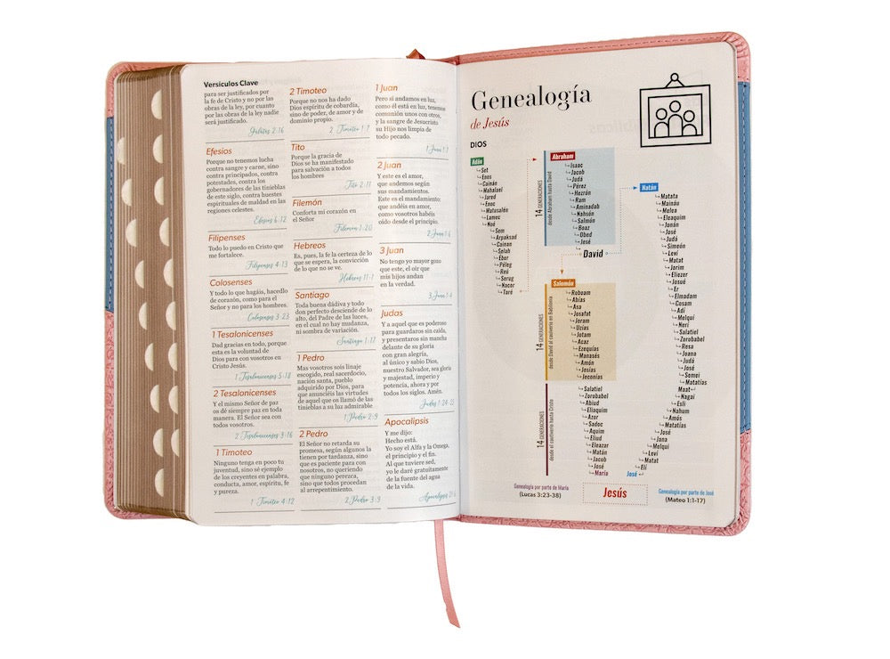 Biblia RVR60 Tamaño Manual Letra Grande rosa