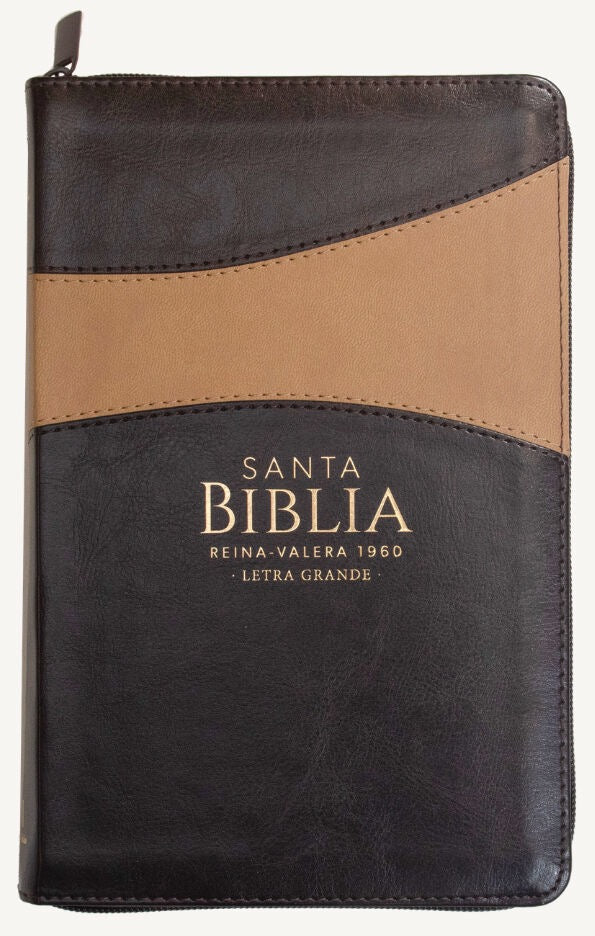 Libreria Cristiana Arca