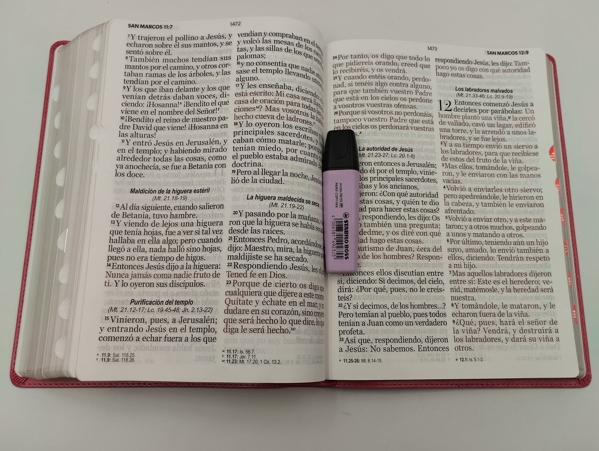 Biblia RVR60 Letra Súper Gigante 19 puntos