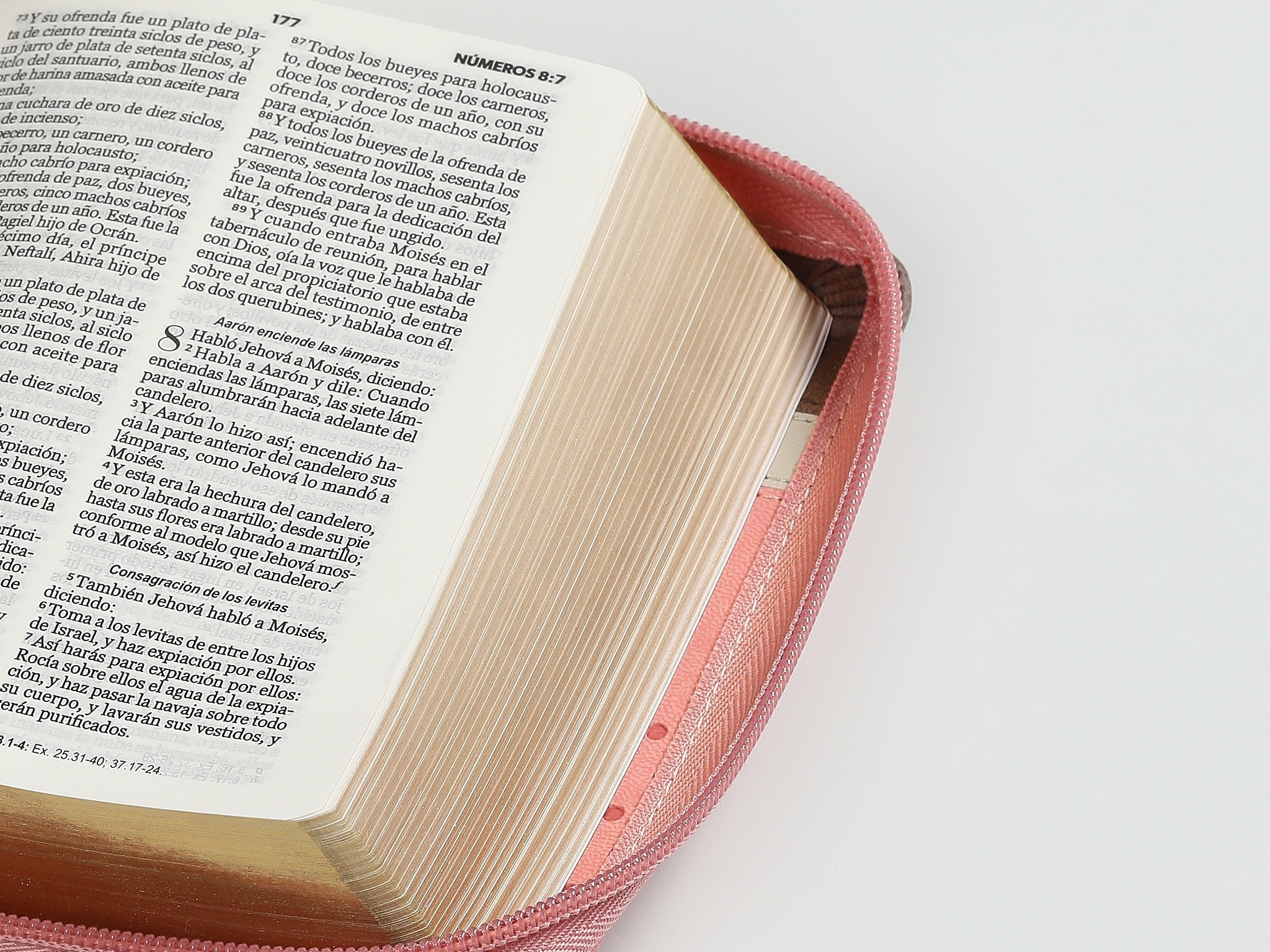 Libreria Cristiana Arca