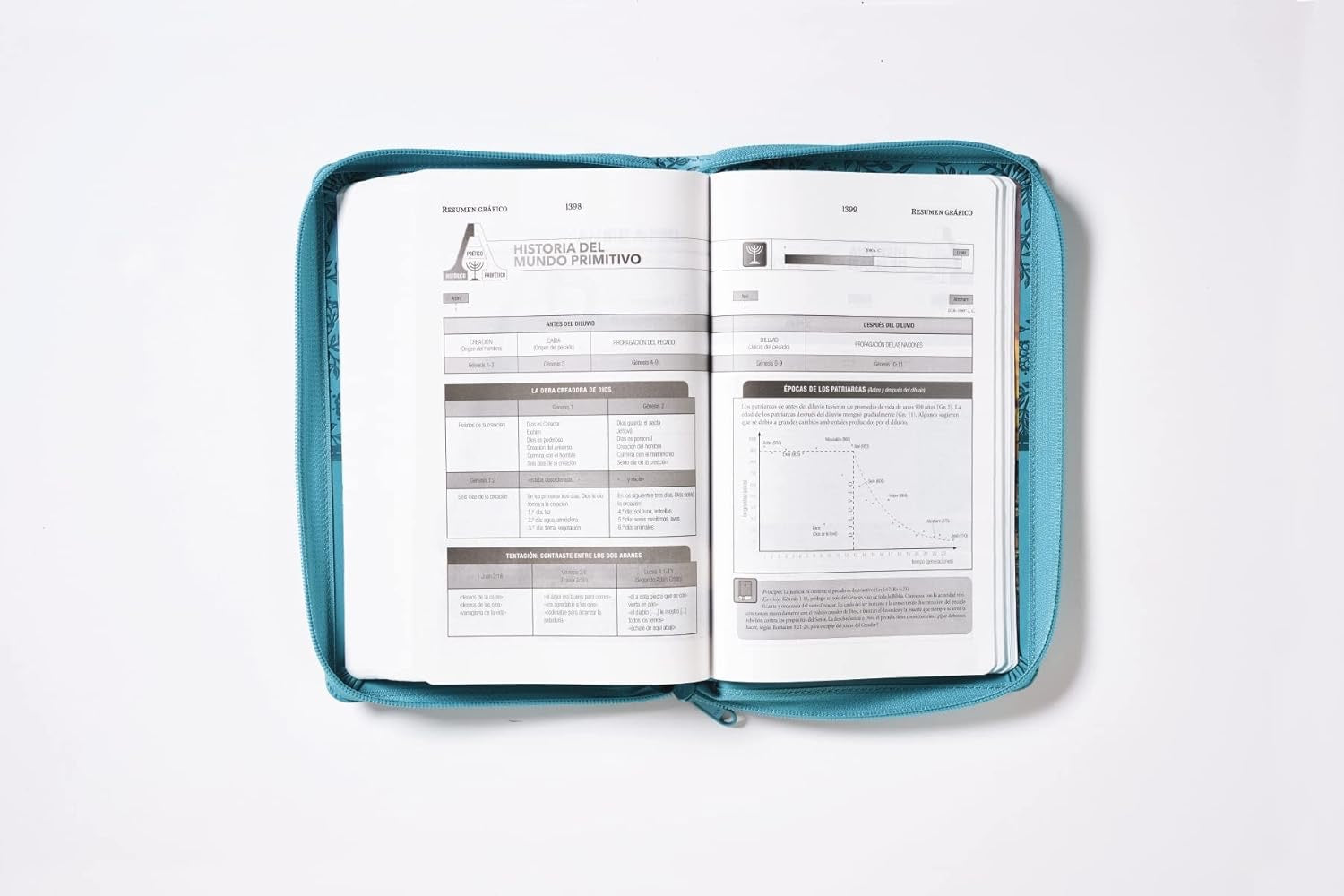 Biblia RVR 1960 Tierra Santa Ultrafina Letra Grande