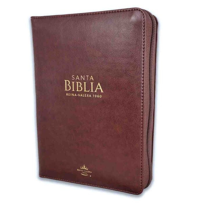 Libreria Cristiana Arca