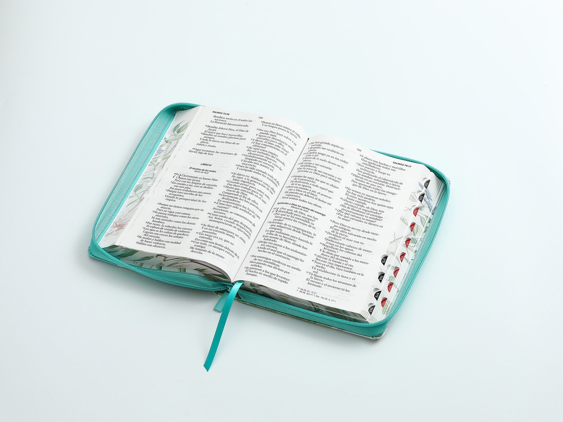 Libreria Cristiana Arca