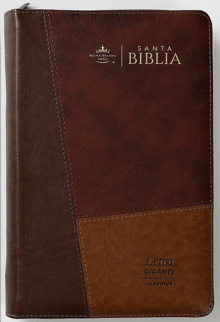 Libreria Cristiana Arca