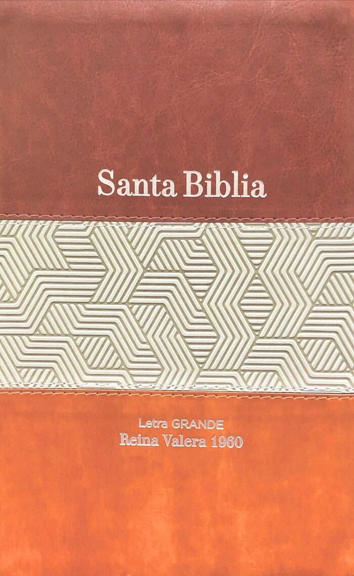 Libreria Cristiana Arca