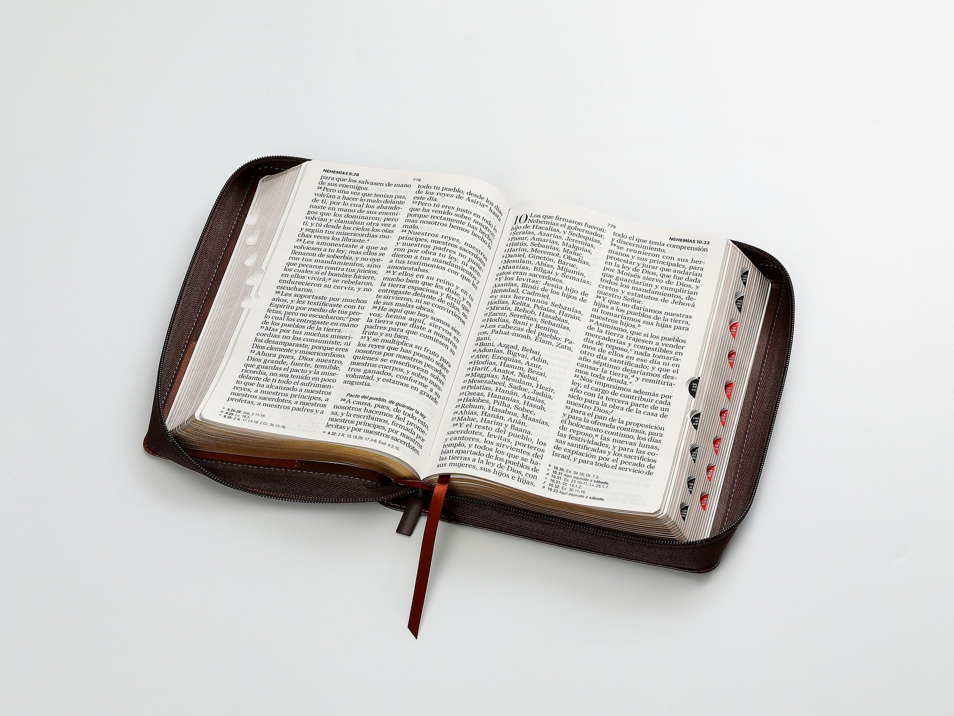 Libreria Cristiana Arca