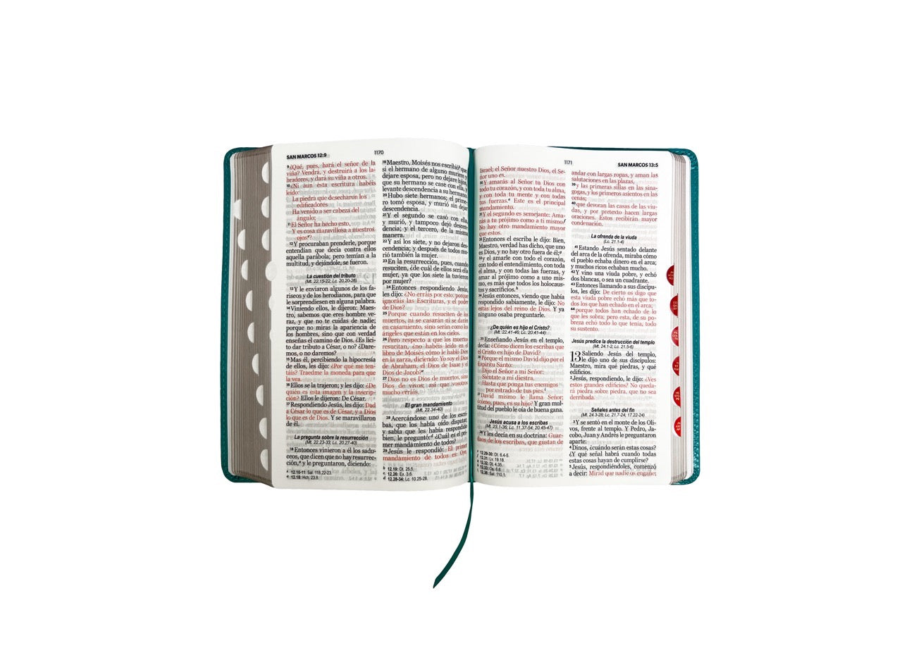 Libreria Cristiana Arca
