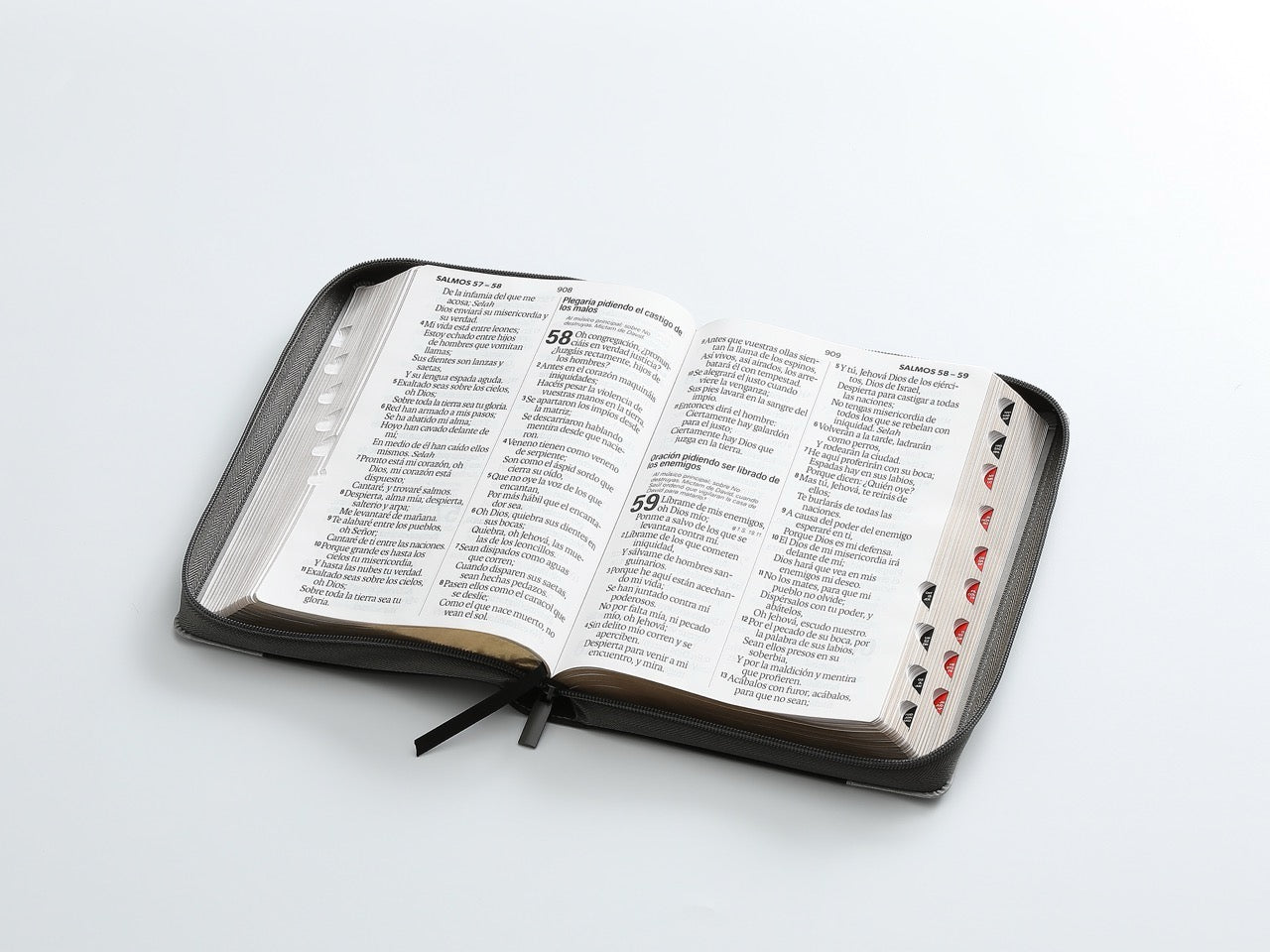 Libreria Cristiana Arca