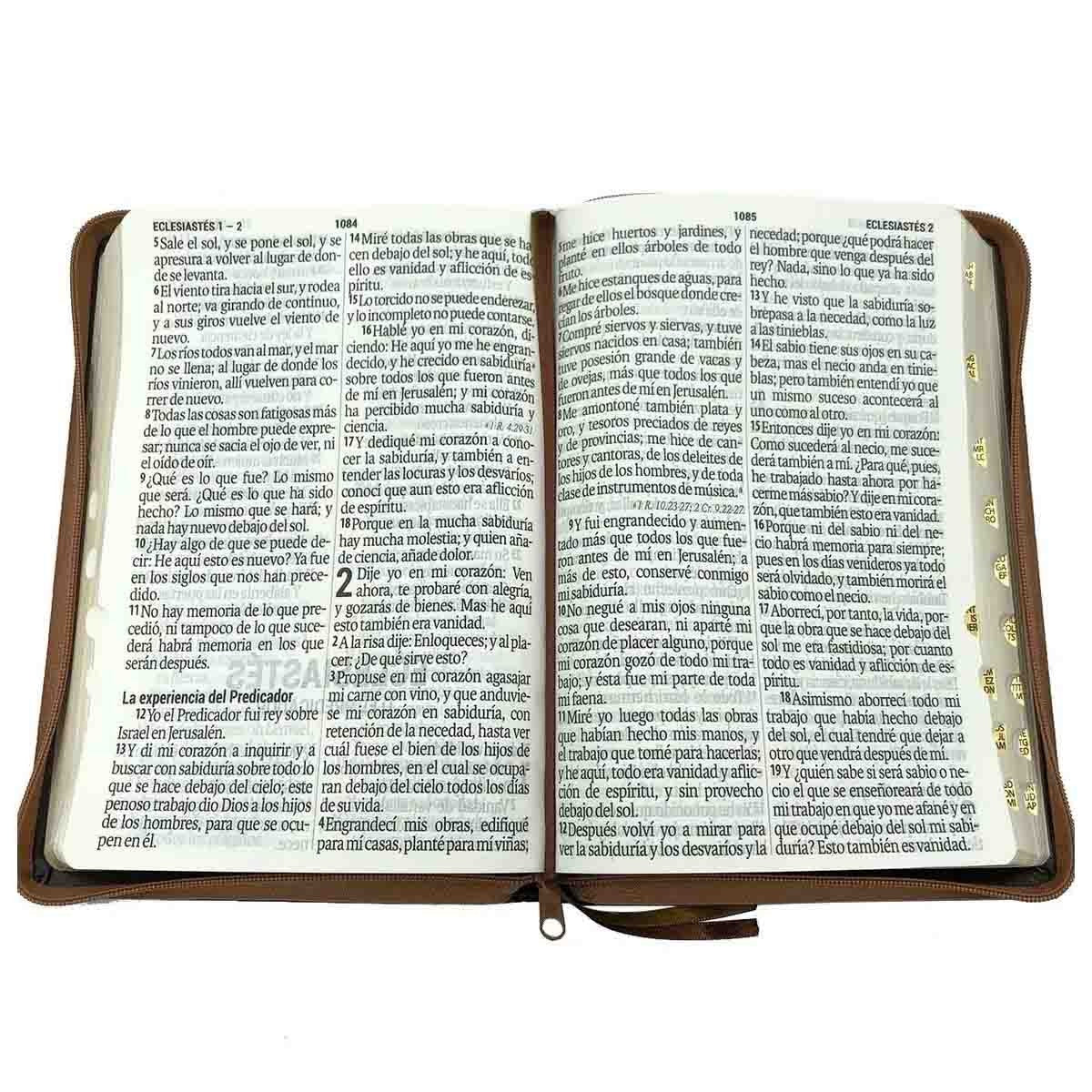 Libreria Cristiana Arca