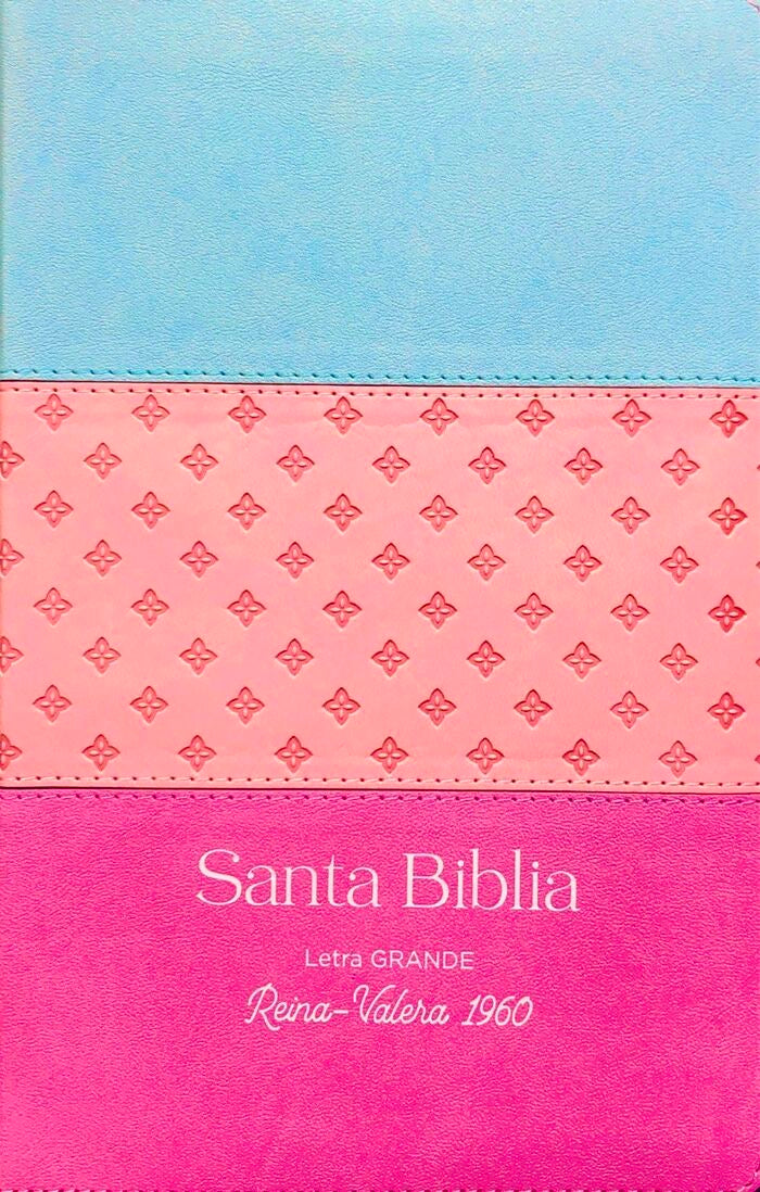 Libreria Cristiana Arca