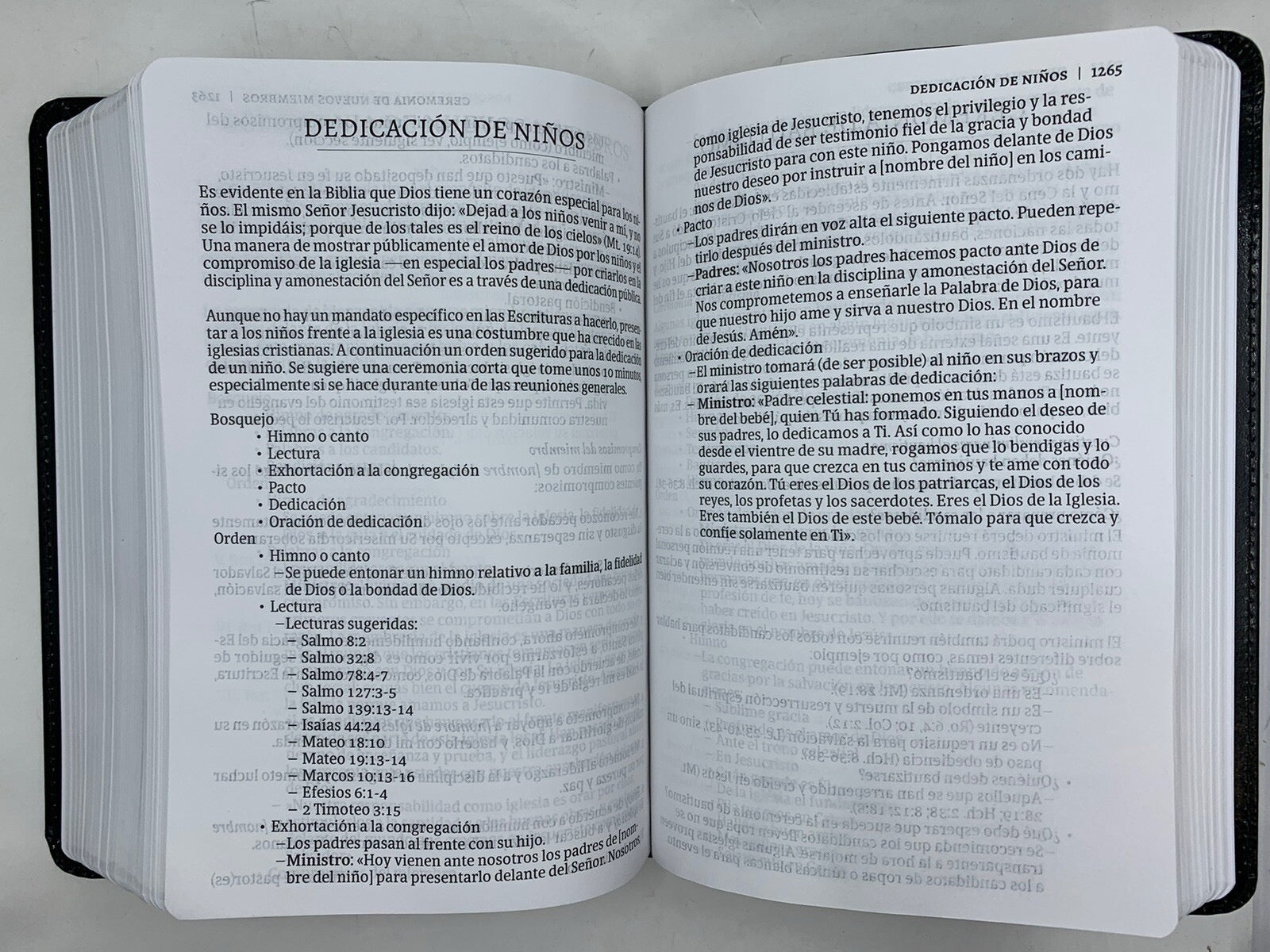 Libreria Cristiana Arca
