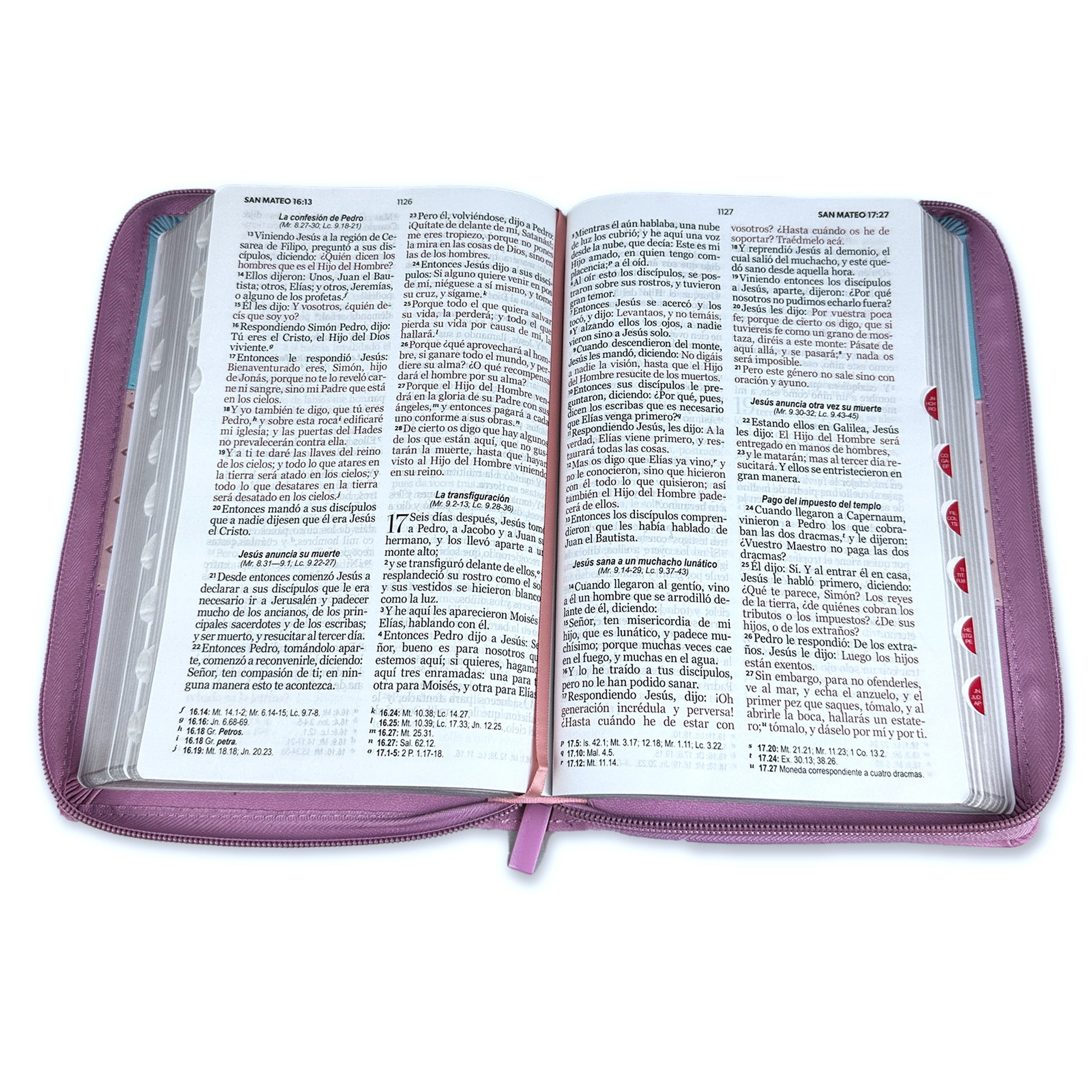Libreria Cristiana Arca