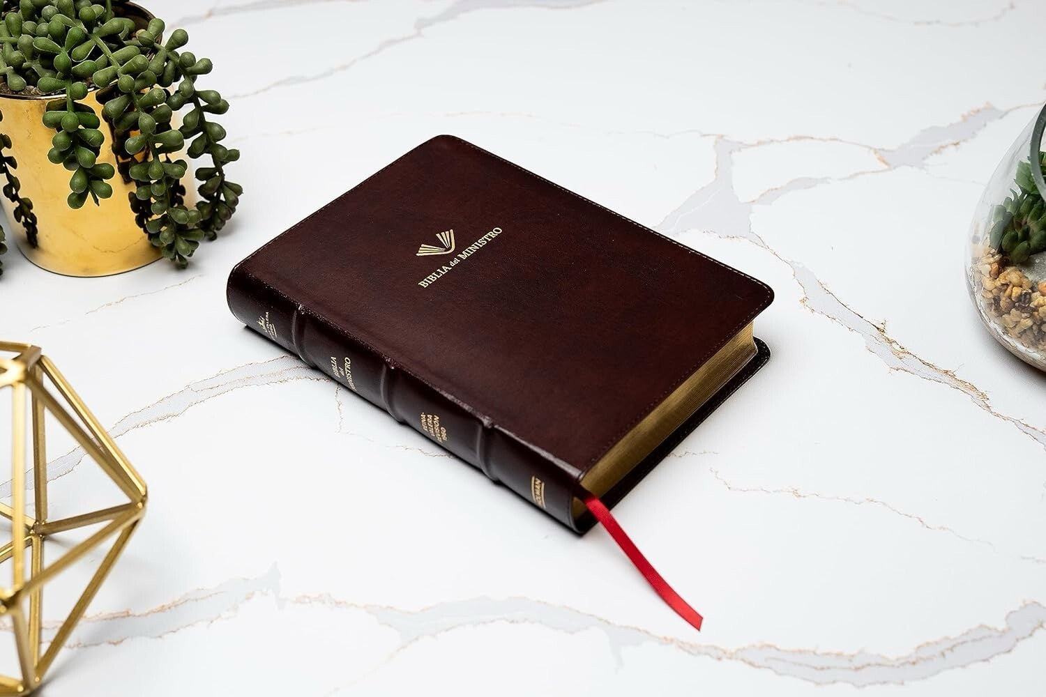 Libreria Cristiana Arca