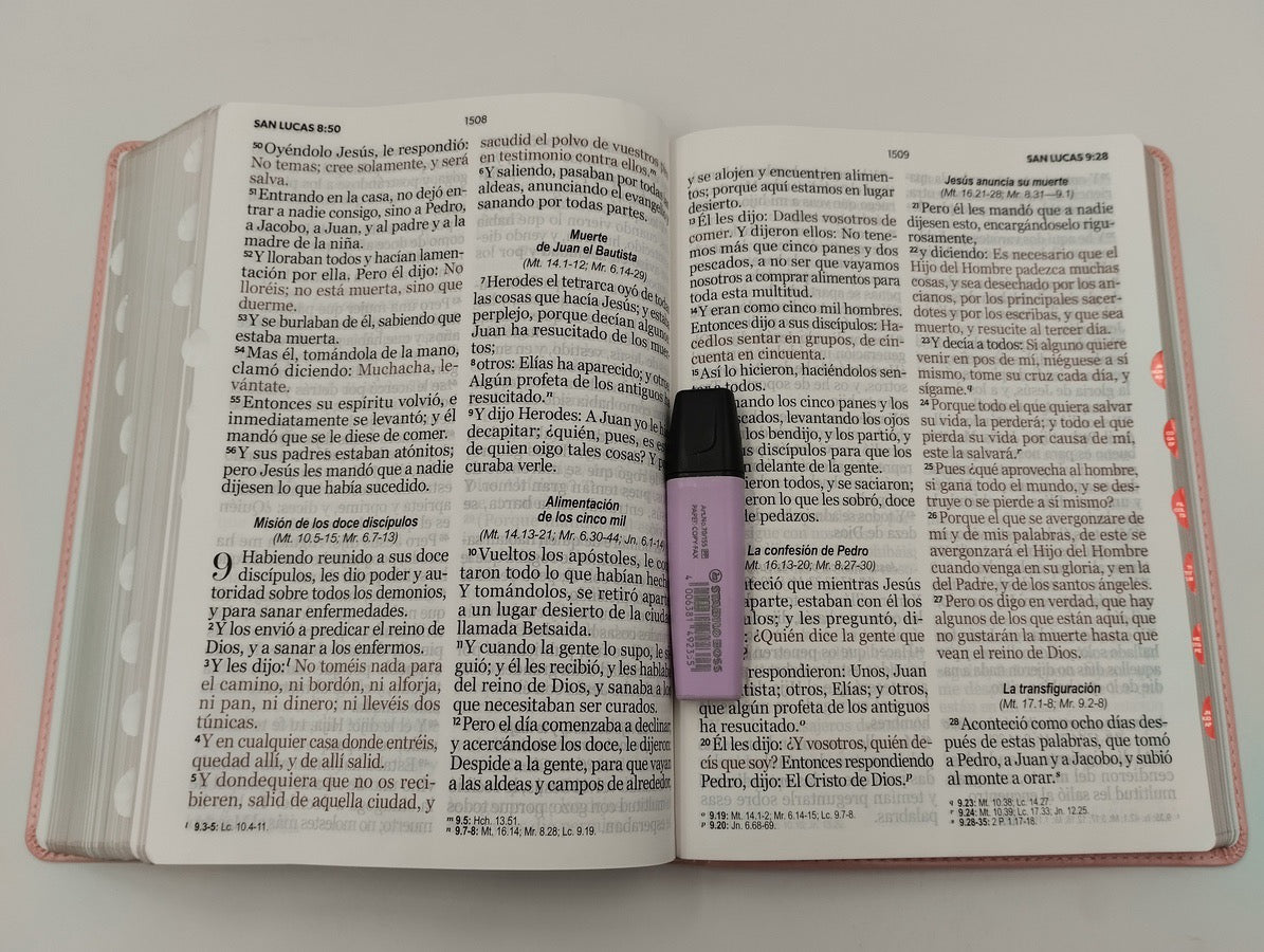 Biblia RVR60 Letra Súper Gigante 19 con indice