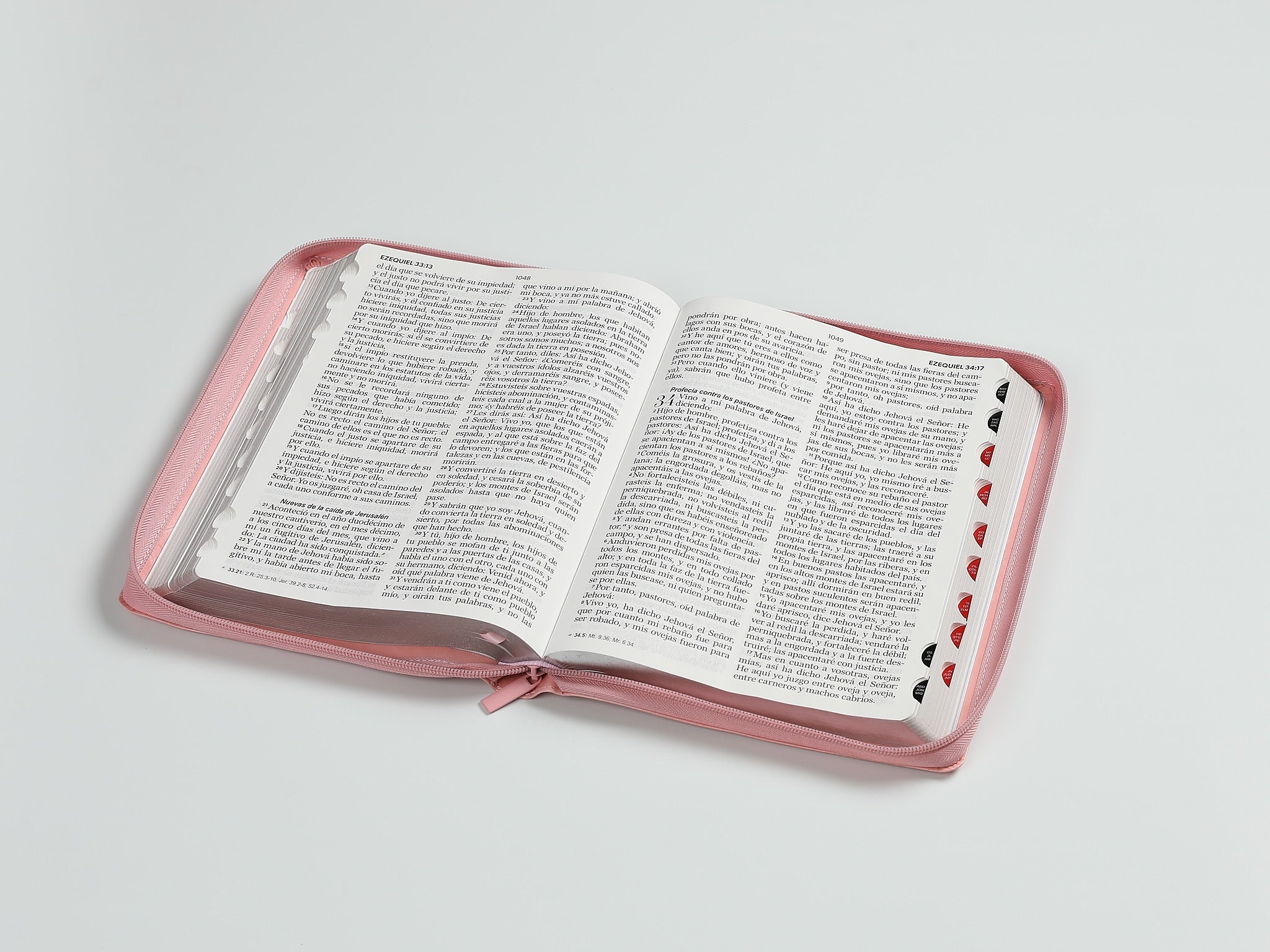 Libreria Cristiana Arca