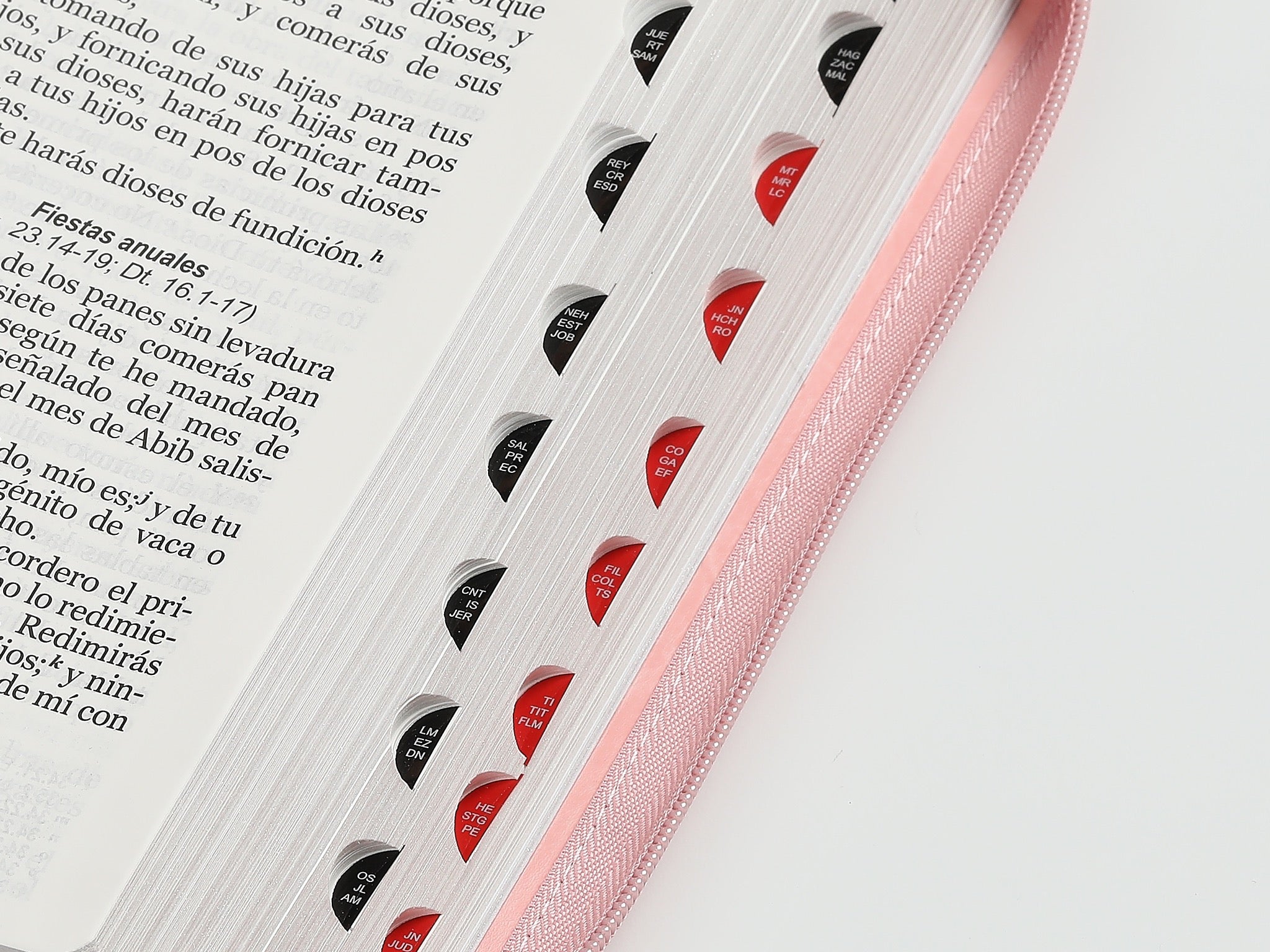 Biblia RVR60 Tamaño Gigante Letra 15 puntos