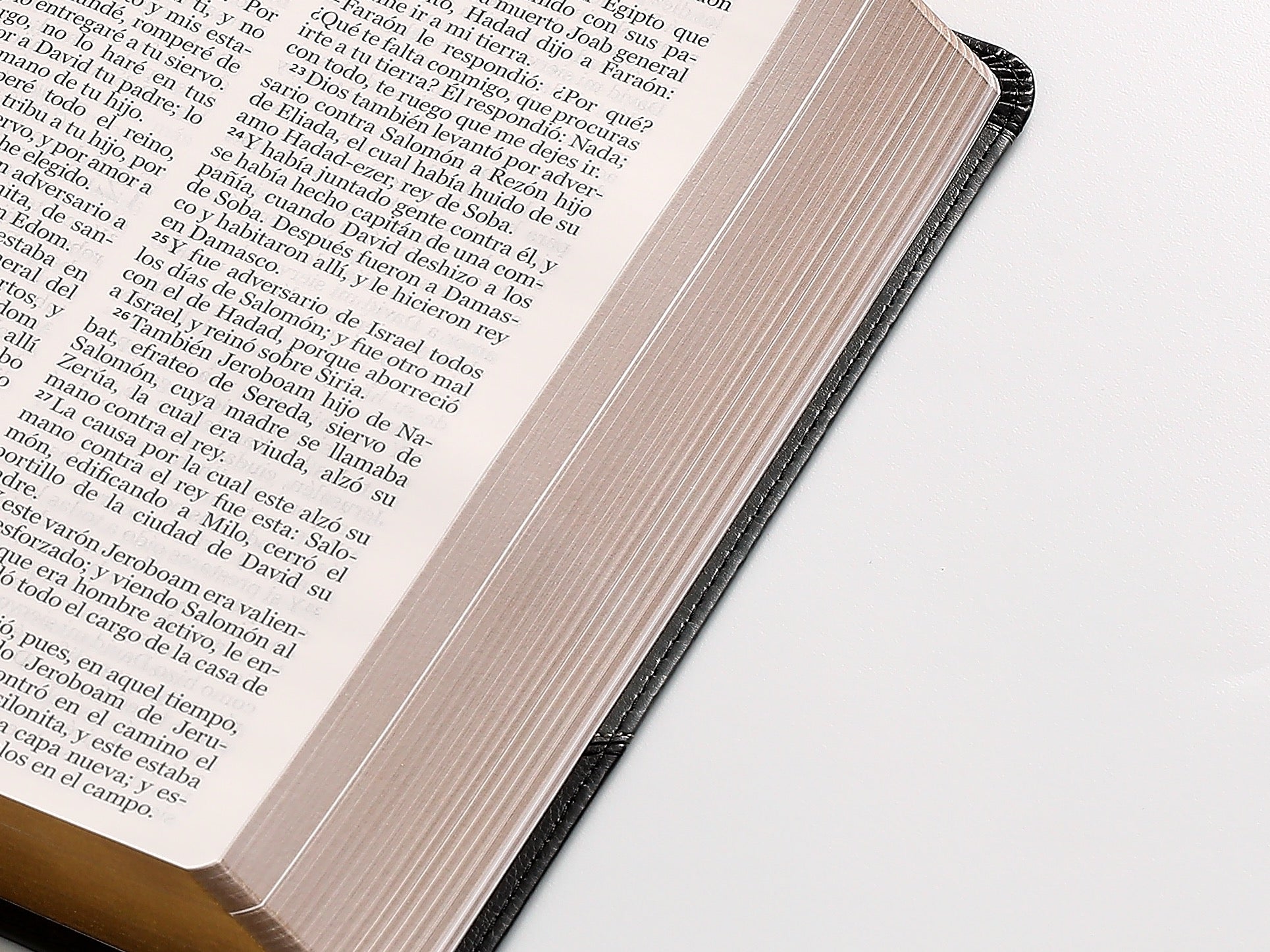 Libreria Cristiana Arca