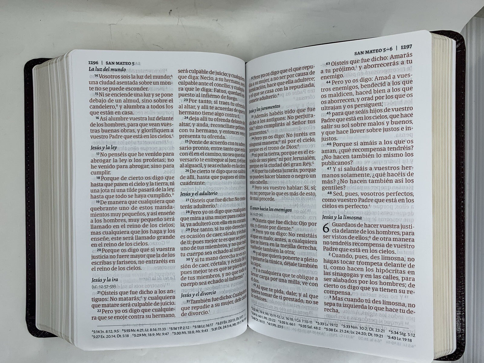 Biblia RVR 1960 del Ministro Ampliada