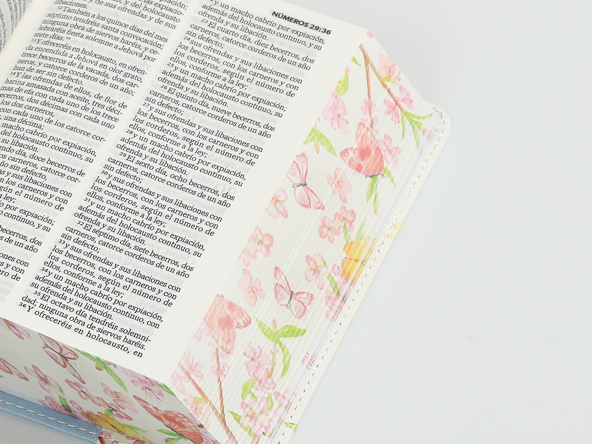 Biblia RVR60 bolsillo Azul