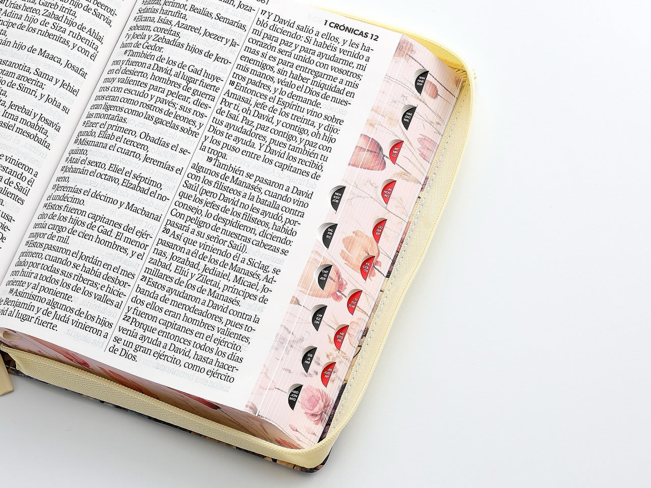 Libreria Cristiana Arca