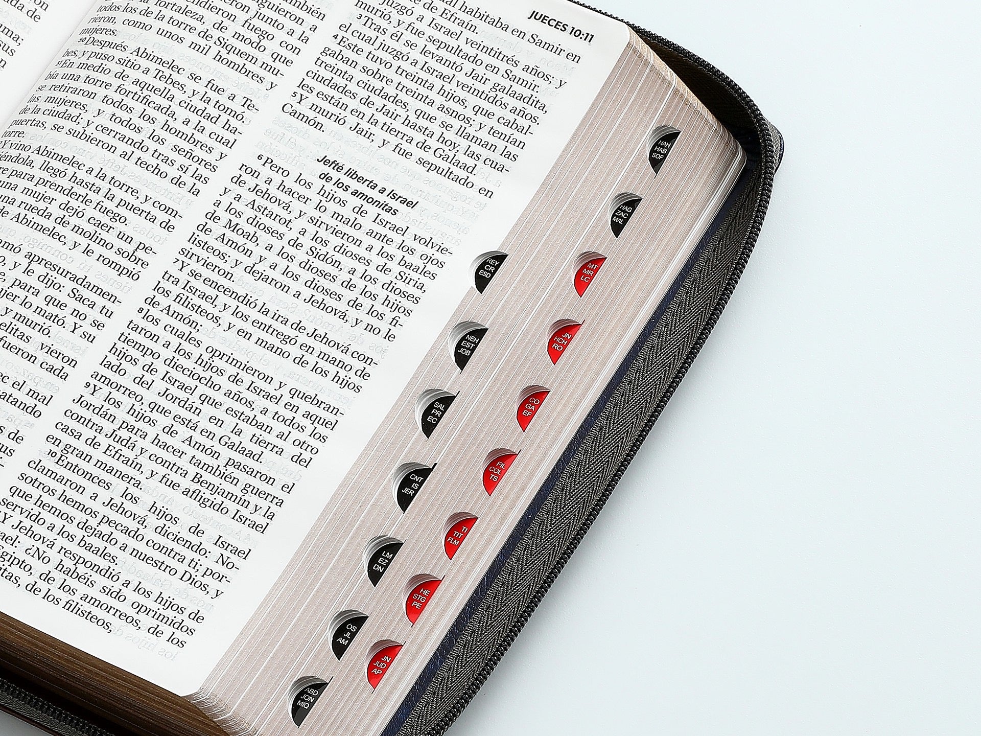 Libreria Cristiana Arca