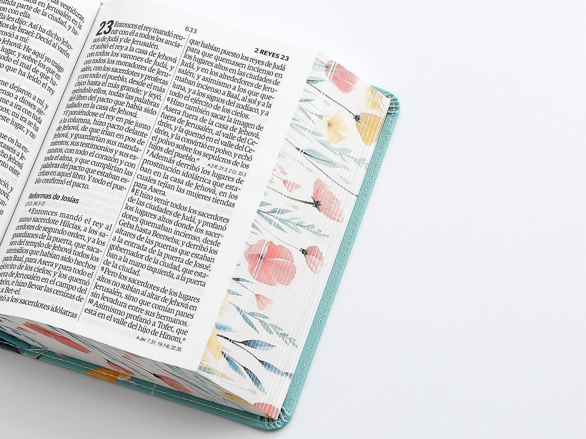 Biblia RVR60 Tamaño compacto Letra Grande 12 puntos