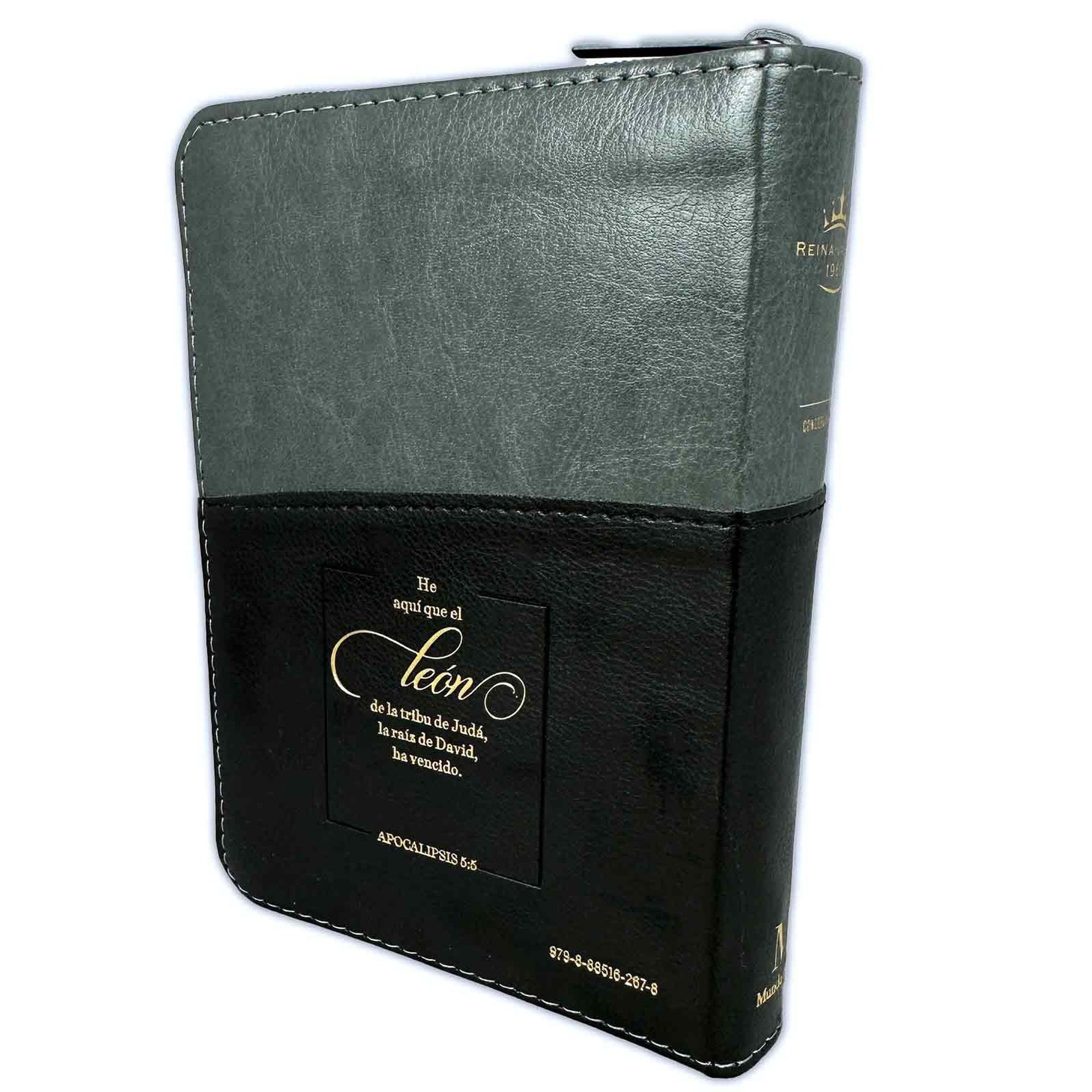 Libreria Cristiana Arca