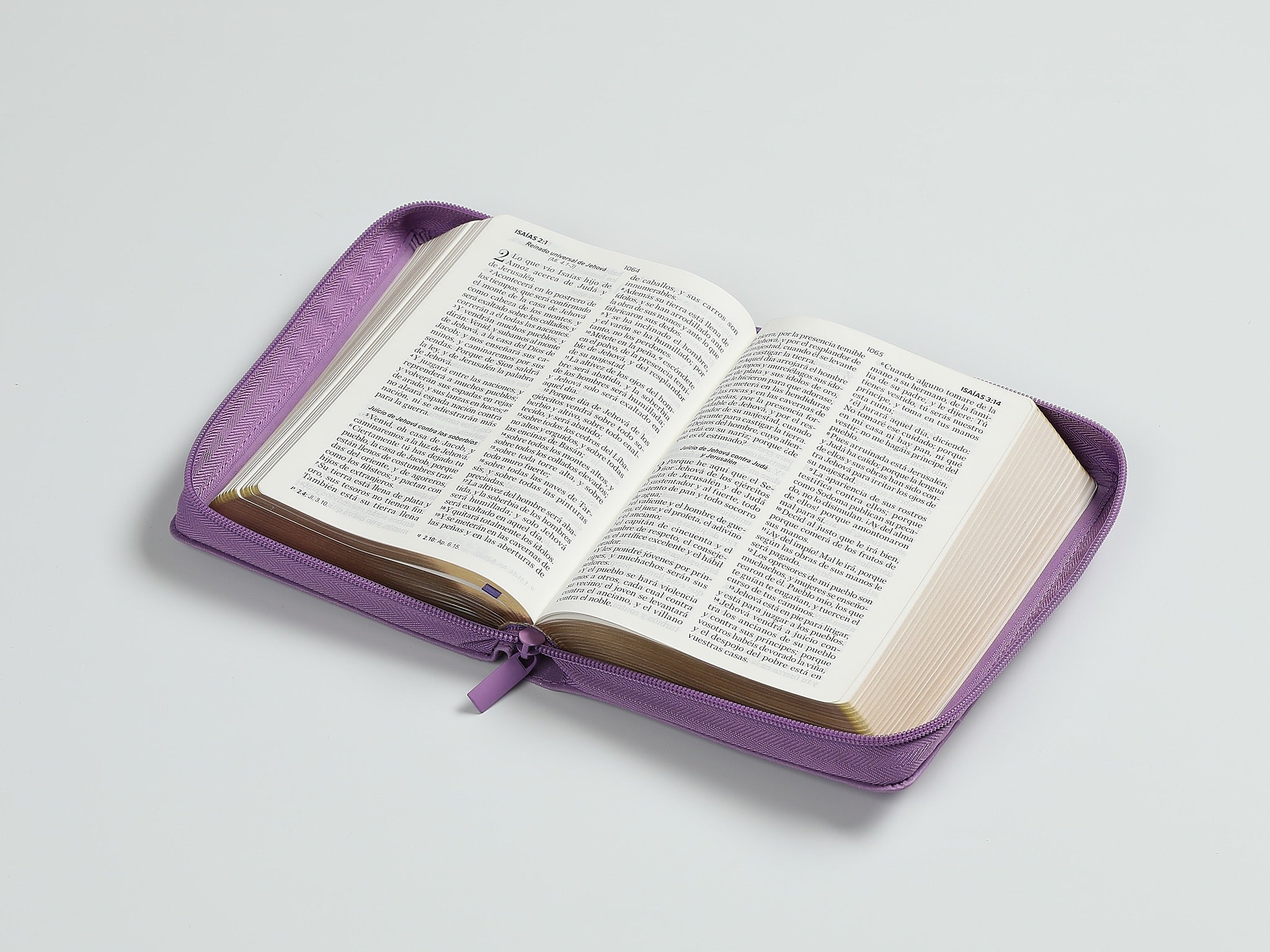 Biblia RVR 1960 Compacta Letra Grande Lila