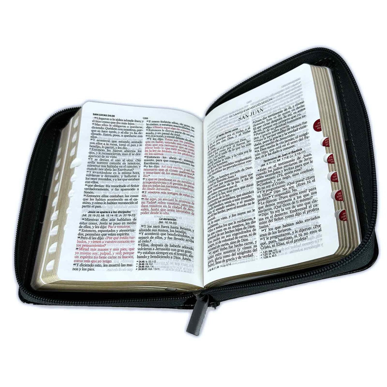 Biblia RVR60 bolsillo Negro león