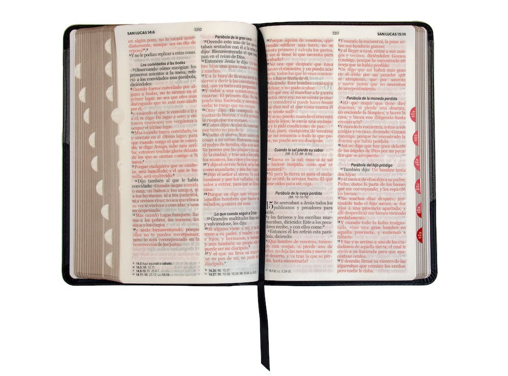 Libreria Cristiana Arca