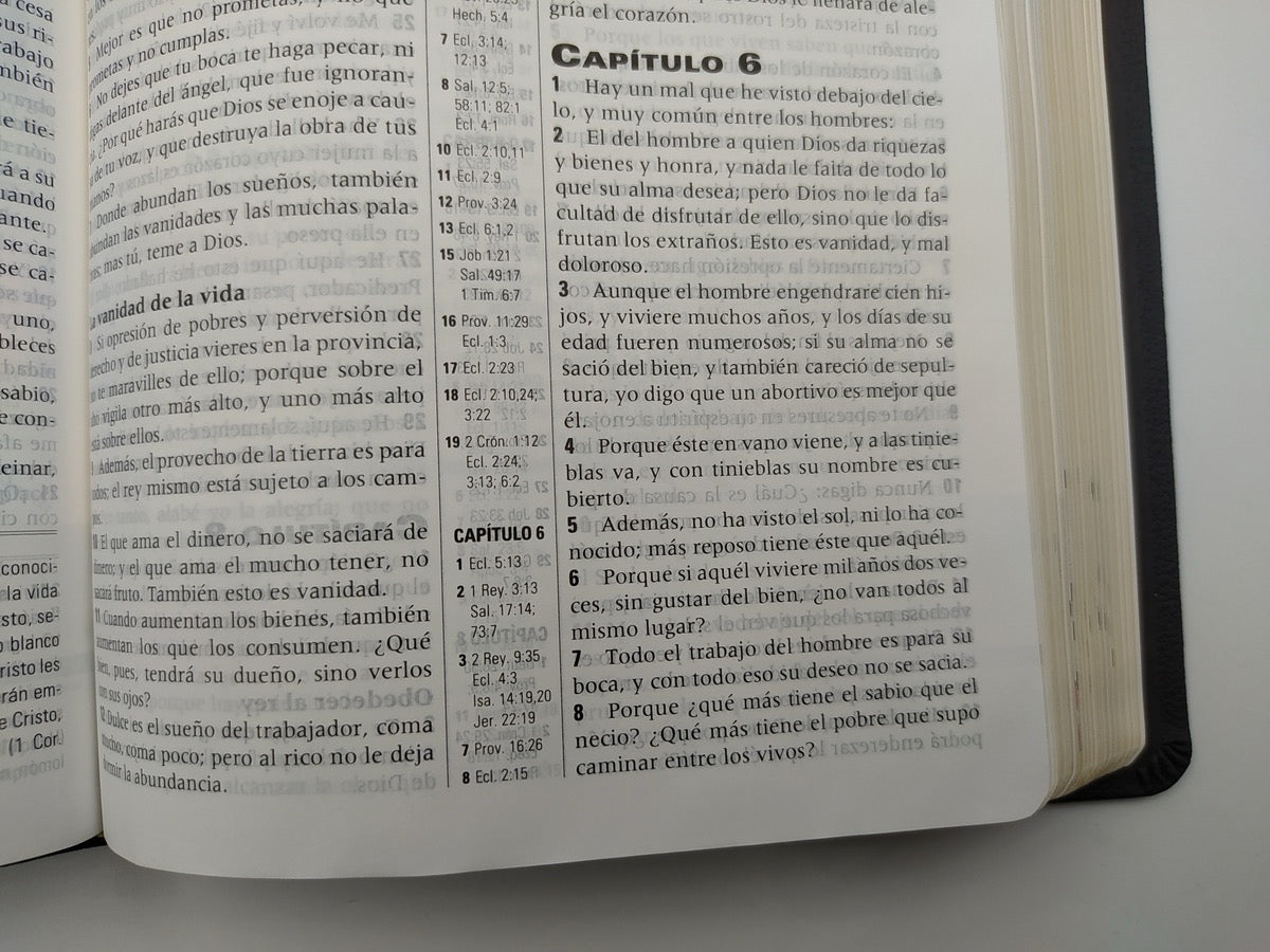 Biblia RVR 1960 de Estudio de la Profecía Piel Negro