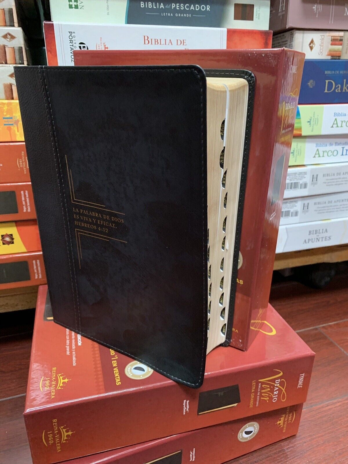 Libreria Cristiana Arca