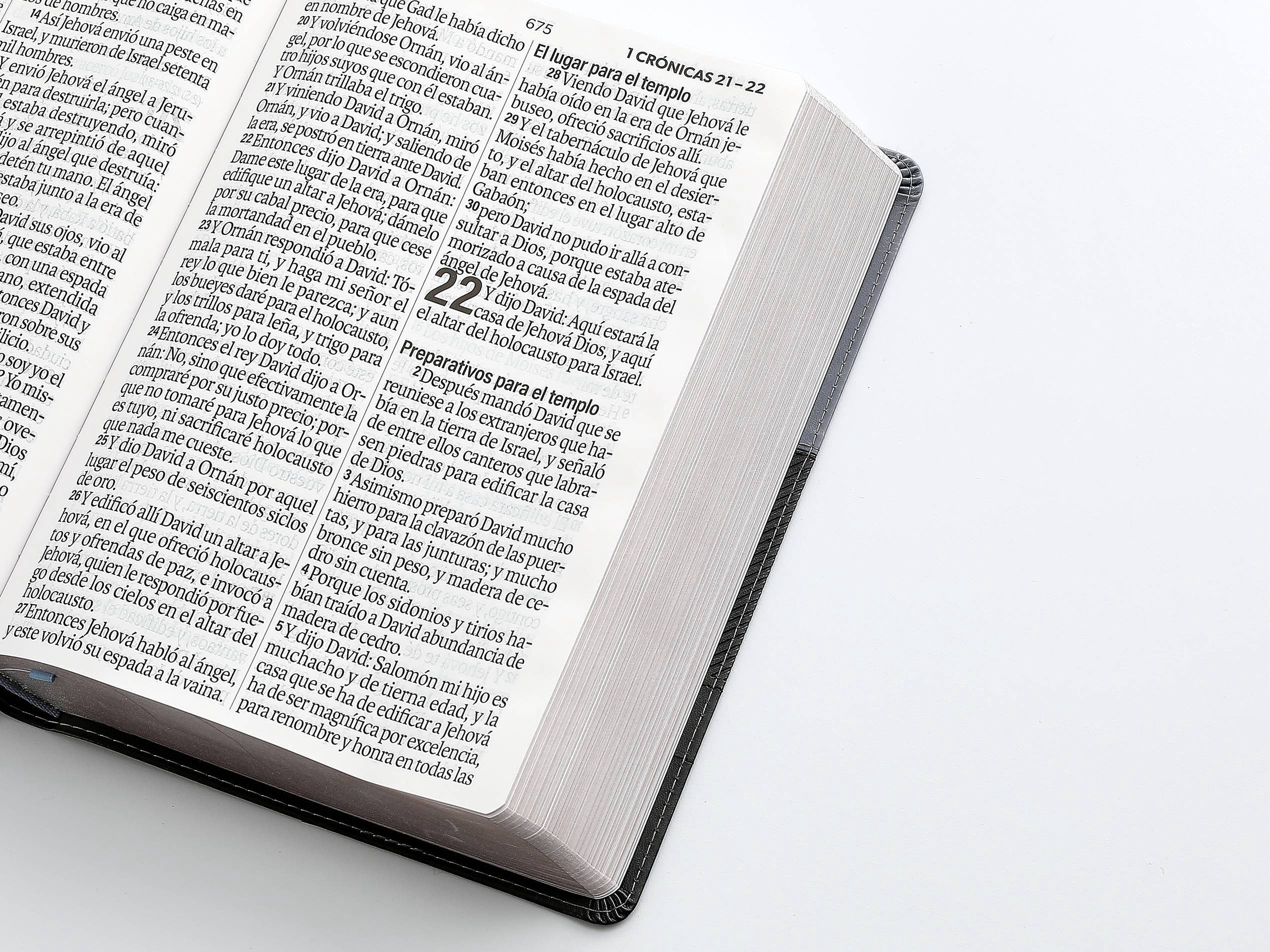 Libreria Cristiana Arca