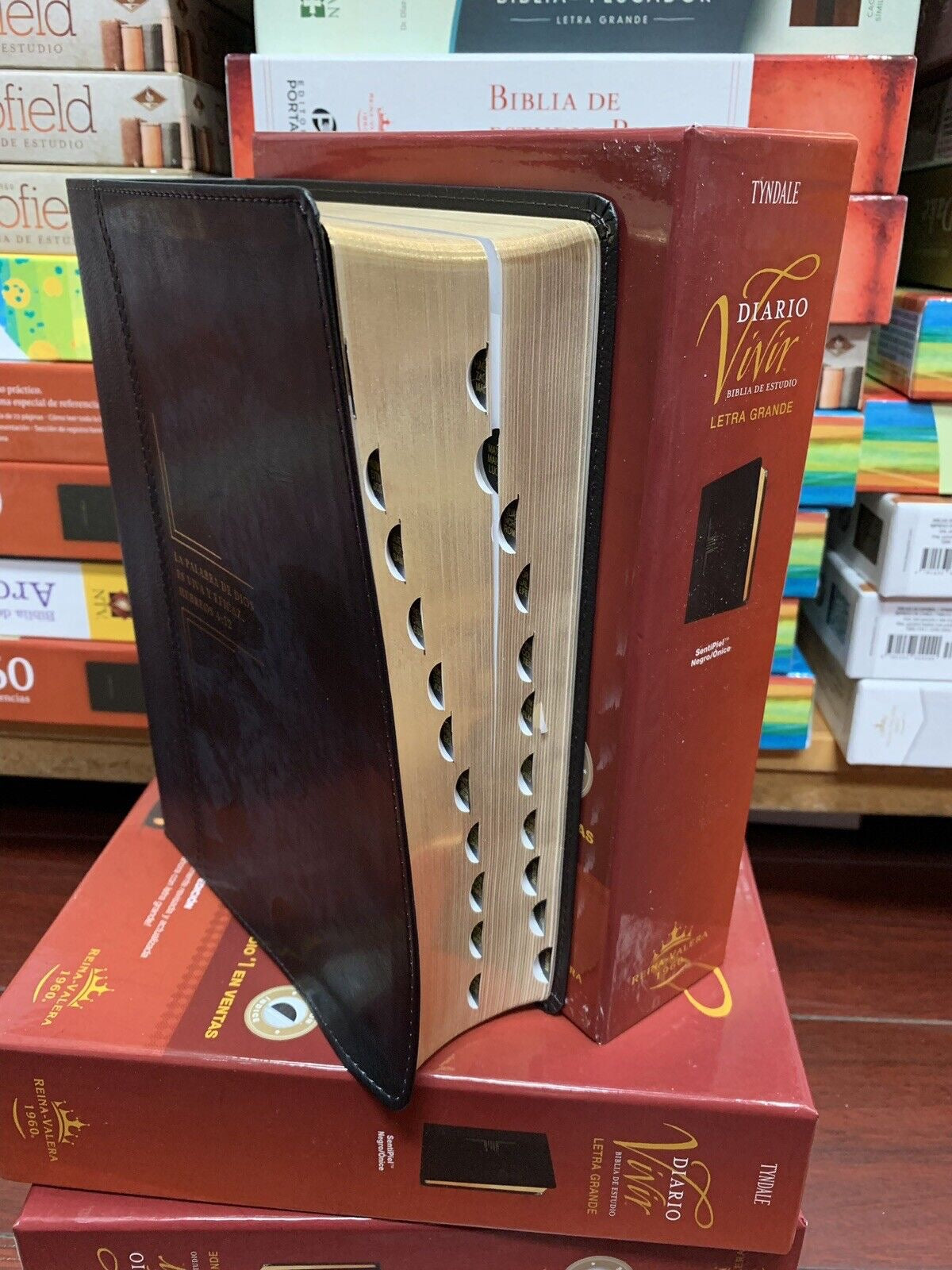 Libreria Cristiana Arca
