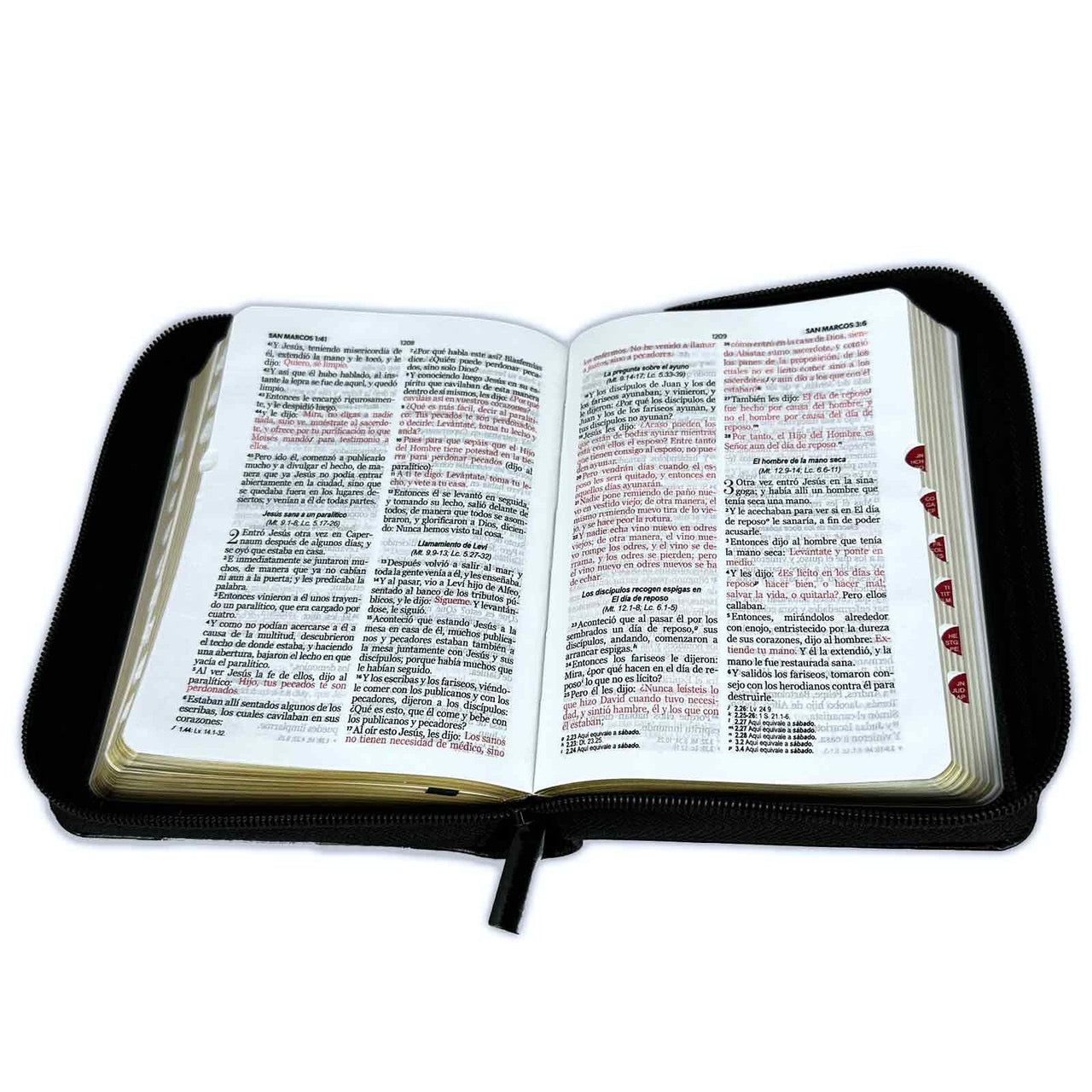 Biblia RVR60 bolsillo Negro