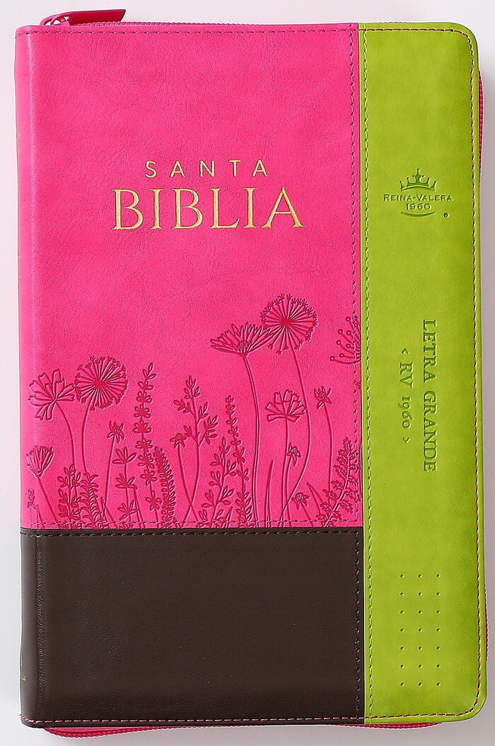 Libreria Cristiana Arca