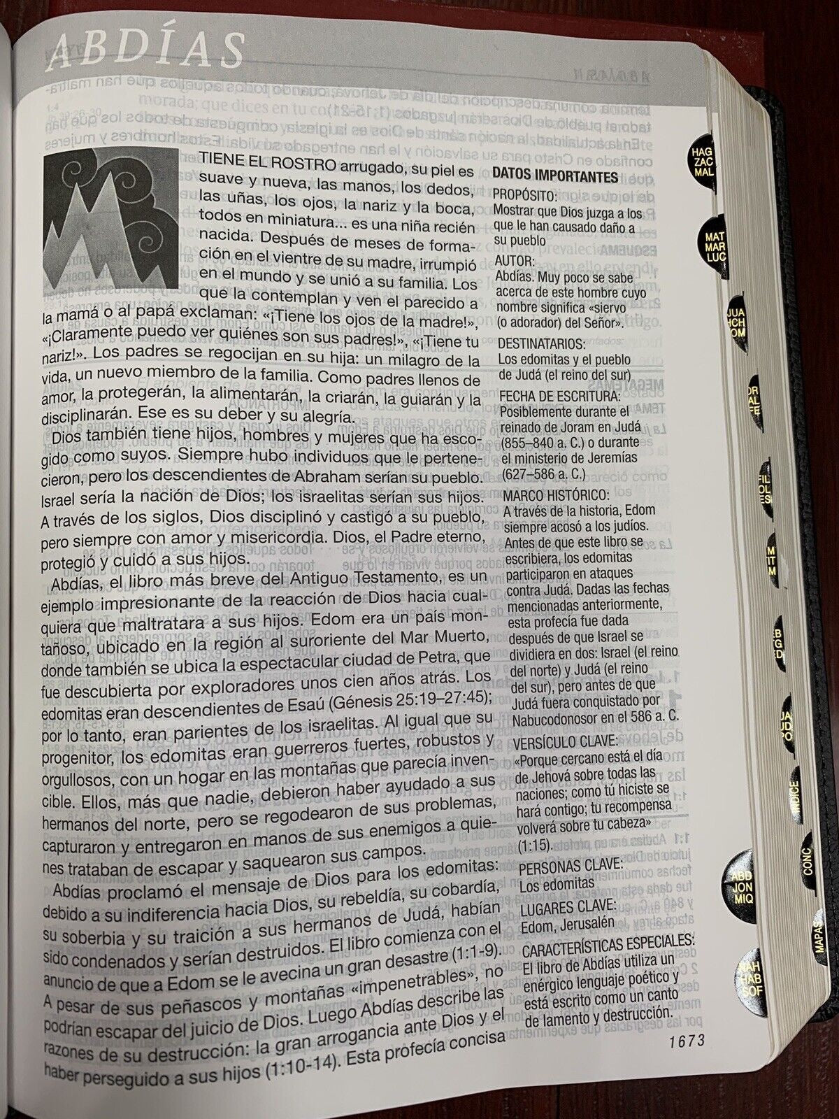 Biblia RVR 1960 de Estudio Diario Vivir Letra Grande indice Negro