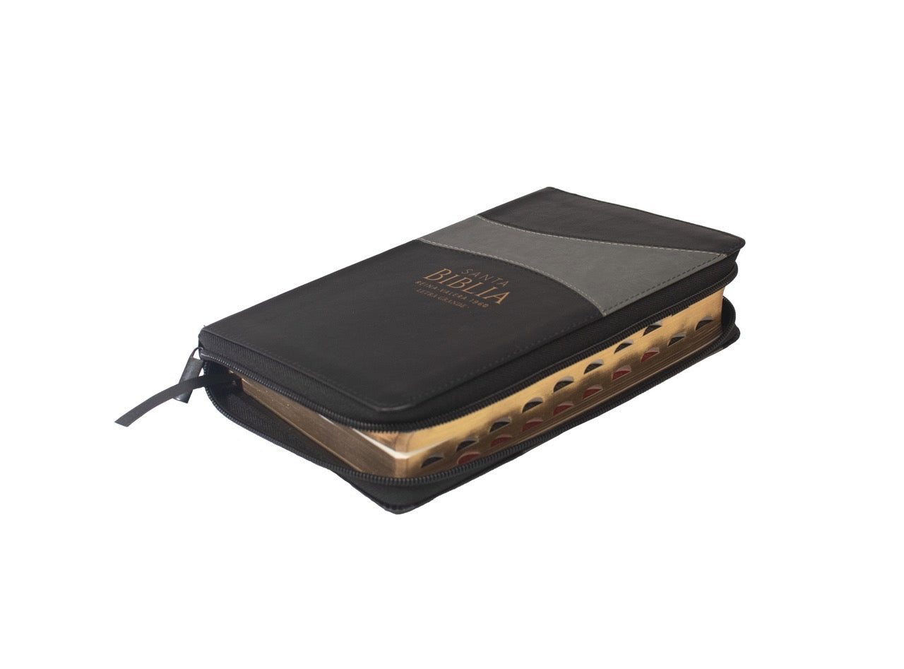 Libreria Cristiana Arca