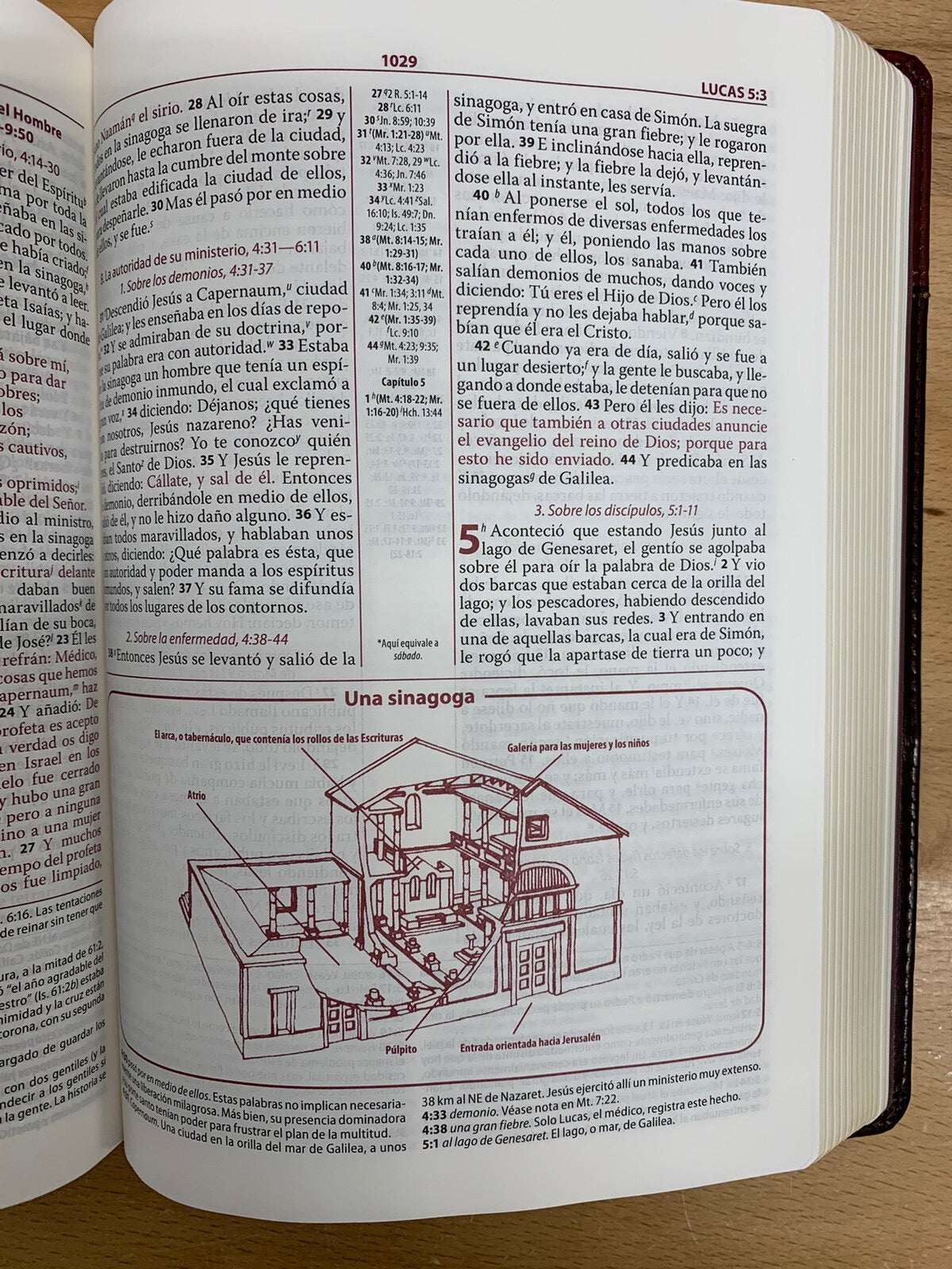 Biblia RVR 1960 de Estudio Ryrie Ampliada Marrón