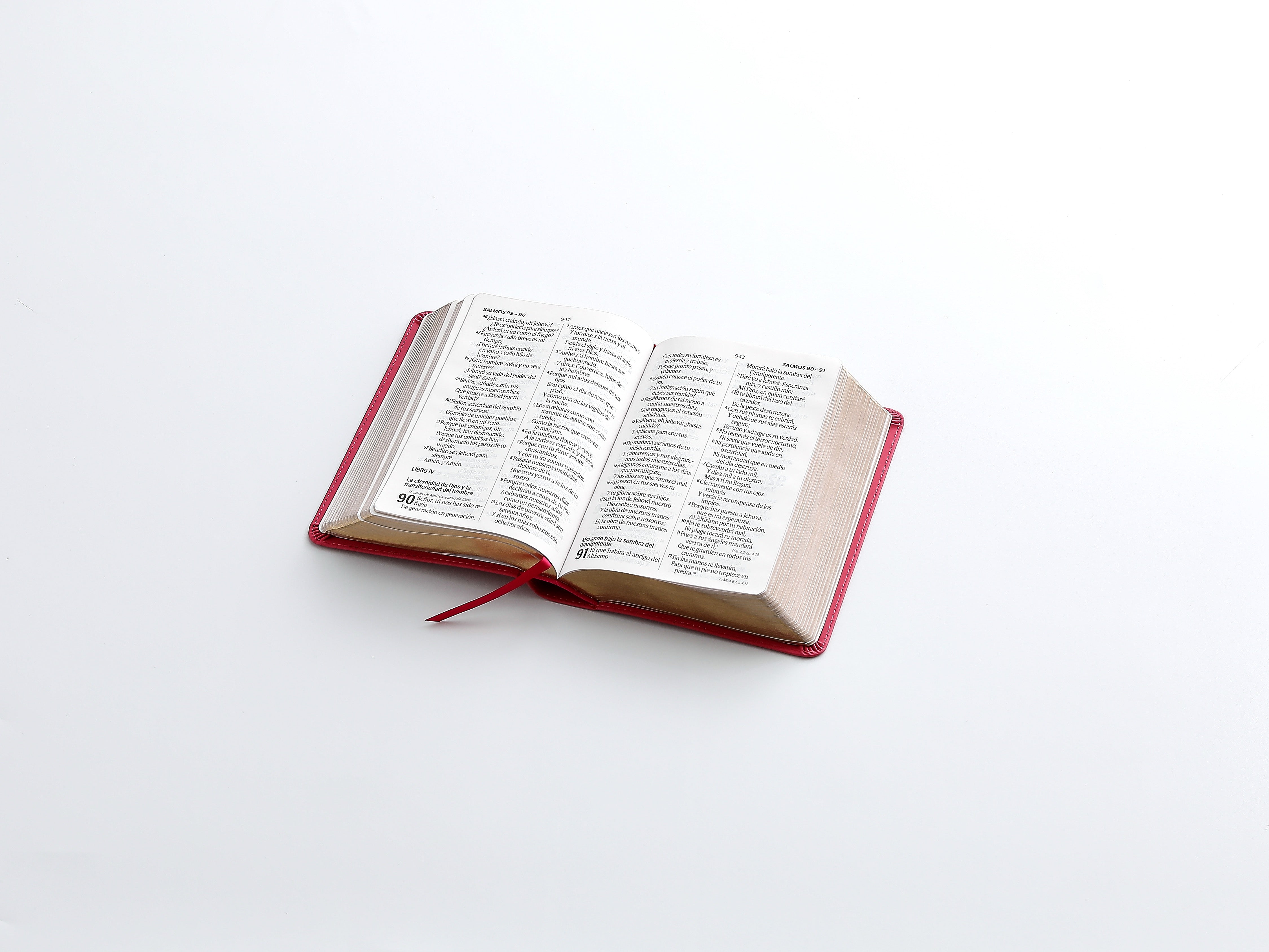 Libreria Cristiana Arca