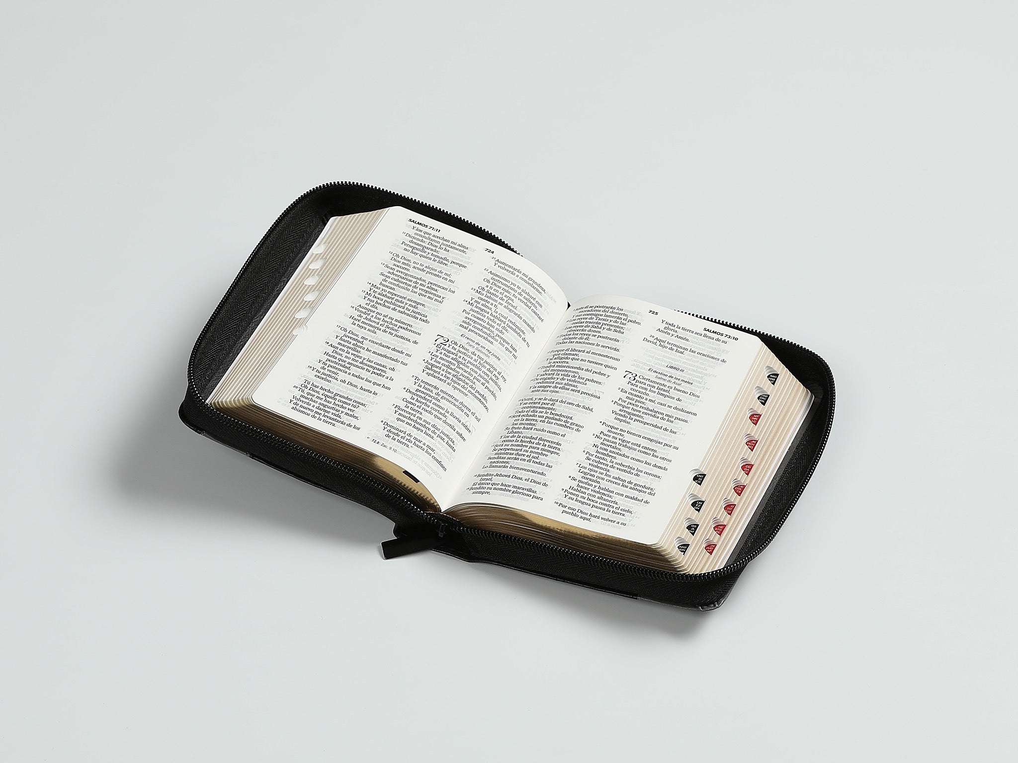 Libreria Cristiana Arca